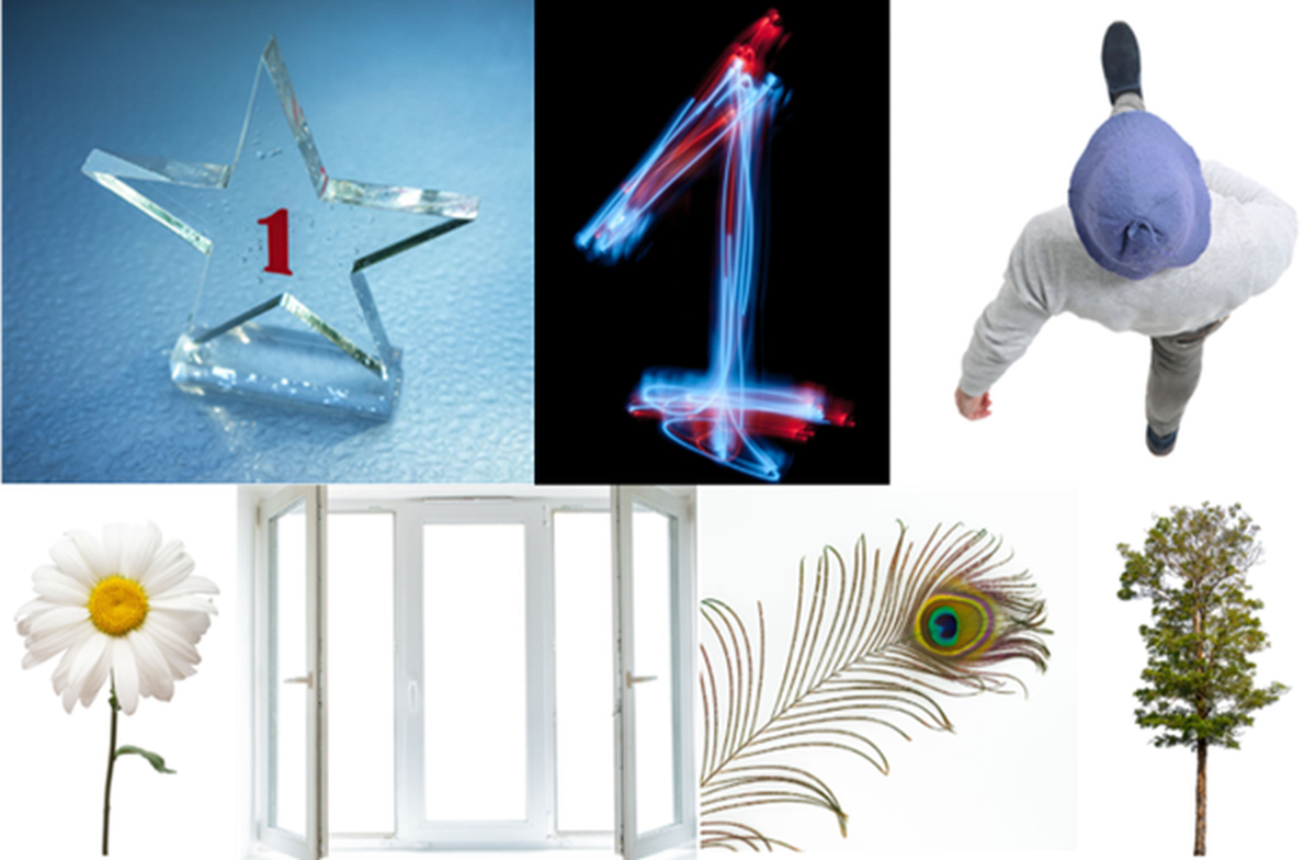 Ilustracja jest fotokolażem złożonym z siedmiu fotografii ułożonych w dwóch poziomych rzędach, przedstawiających przykłady kompozycji jednoelementowych. Od lewej na górze: szklana przezroczysta gwiazdka z numerem 1 na środku, na błękitnym tle; kolorowa cyfra 1na czarnym tle; idący człowiek sfotografowany z góry. Na dole od lewej: jeden kwiatek rumianek na białym tle; otwarta biała rama okienna na białym tle; pawie pióro; drzewo na białym tle.