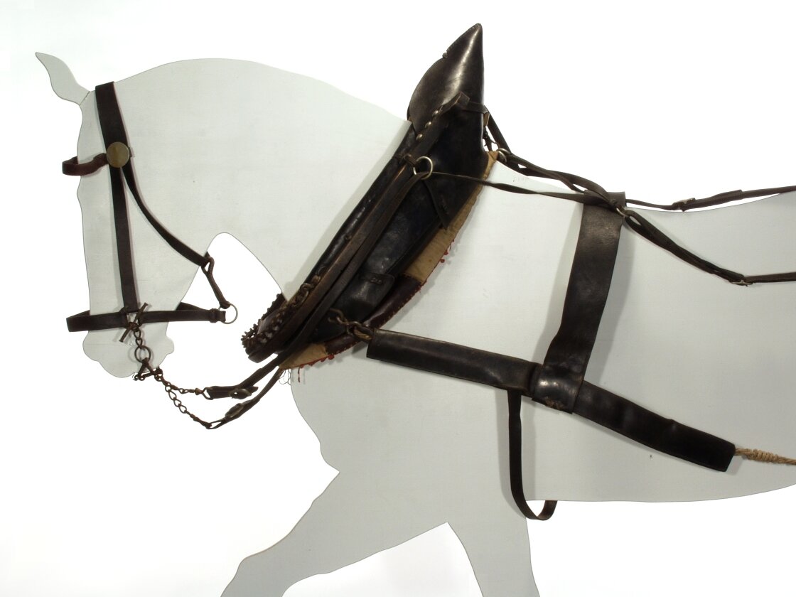 Zdjęcie przedstawia konia w uprzęży chomątowej. Szczegółowy opis uzupełniający zdjęcie znajduje się w treści definicji.