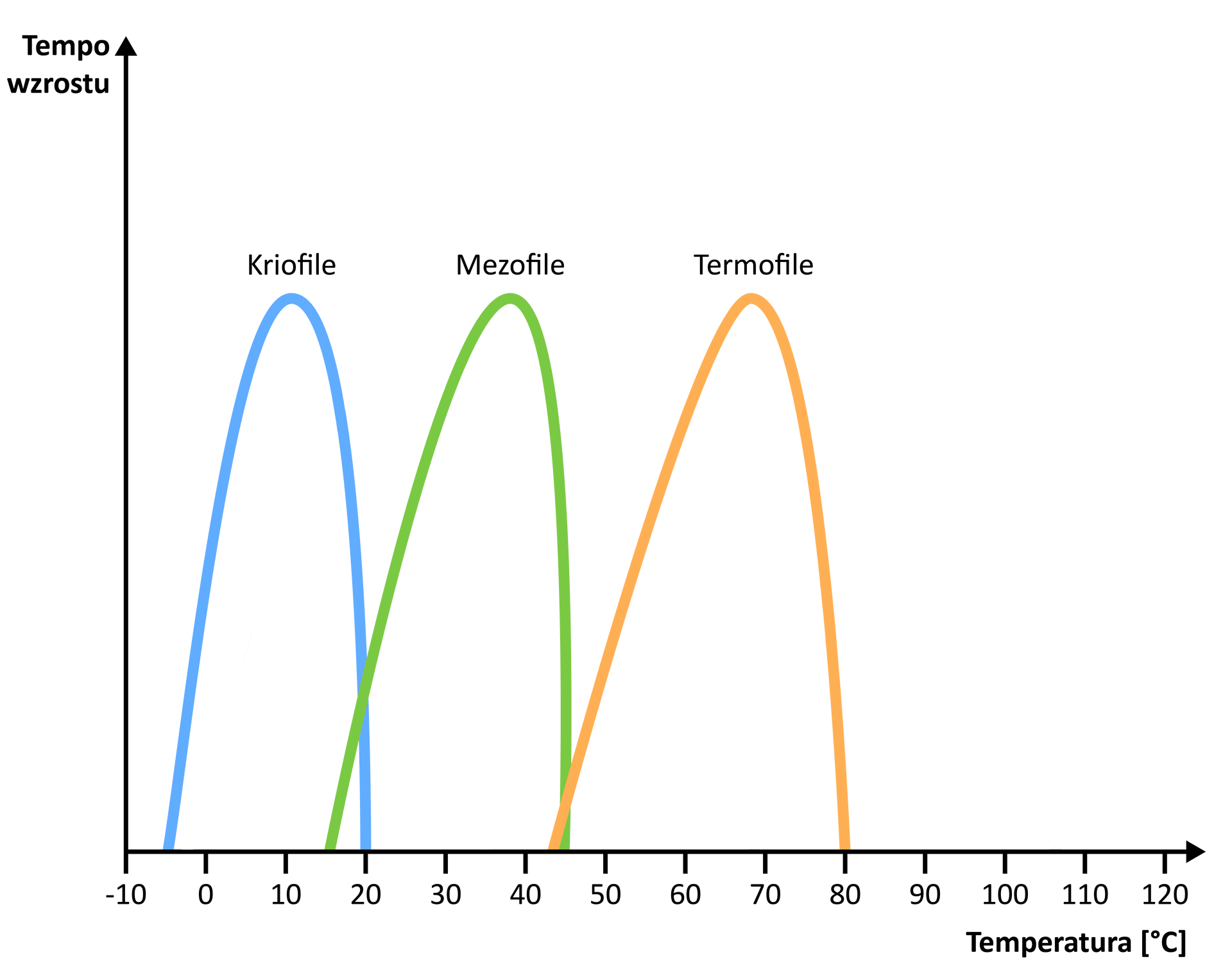 Zakresy temperatur dla wzrostu bakterii. Oś y: tempo wzrostu, oś x: temperatura [°C]. Kriofile rosną w temperaturach od ok. -5 do 20°C, mezofile: od 15 do 45°C, termofile: od 42 do 80°C.