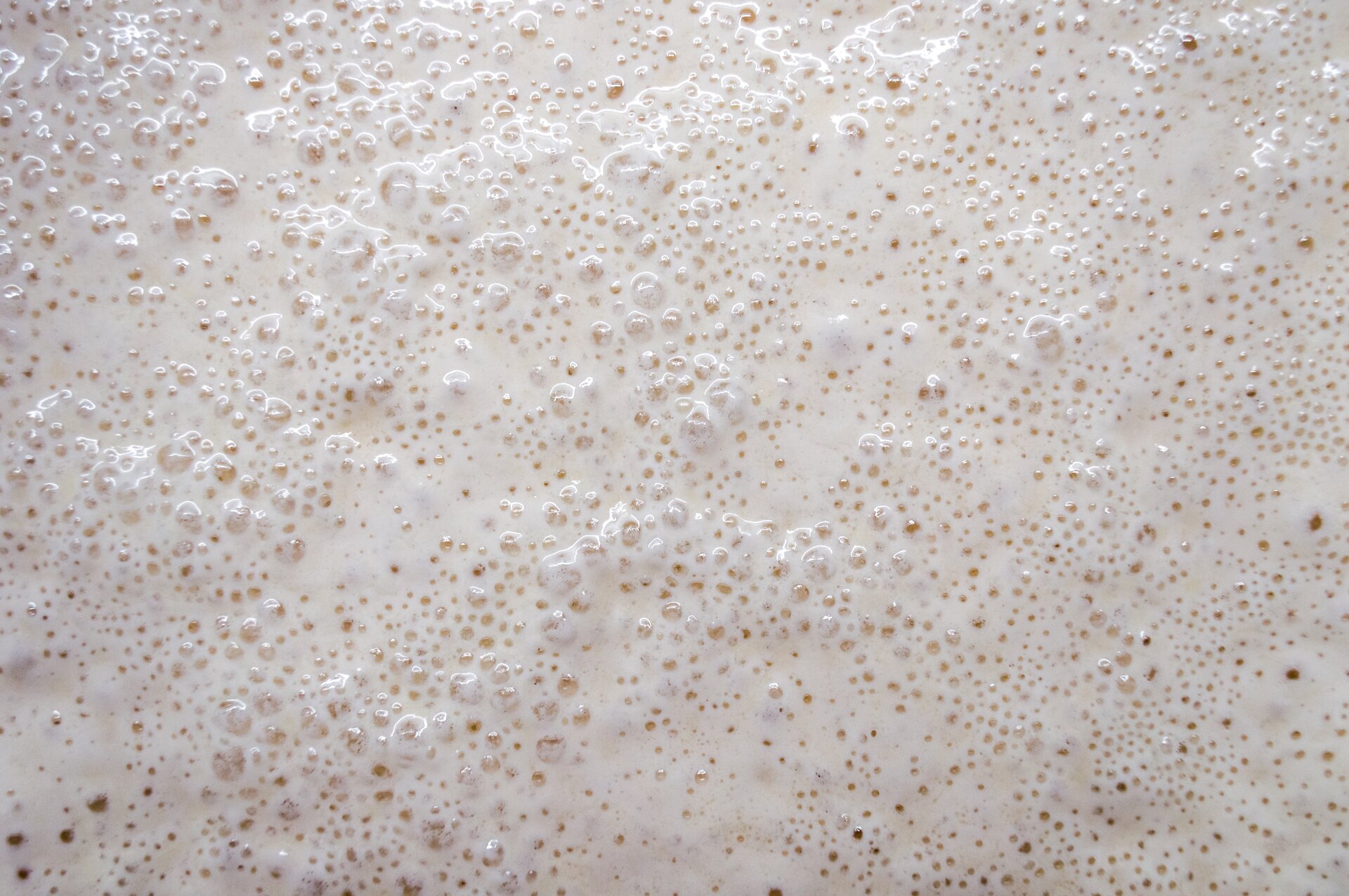 Zdjęcie przedstawia rozczyn początkowy po połączeniu składników. Widoczna jest jasna substancja z bardzo dużą ilością drobnych pęcherzyków powietrza na powierzchni.