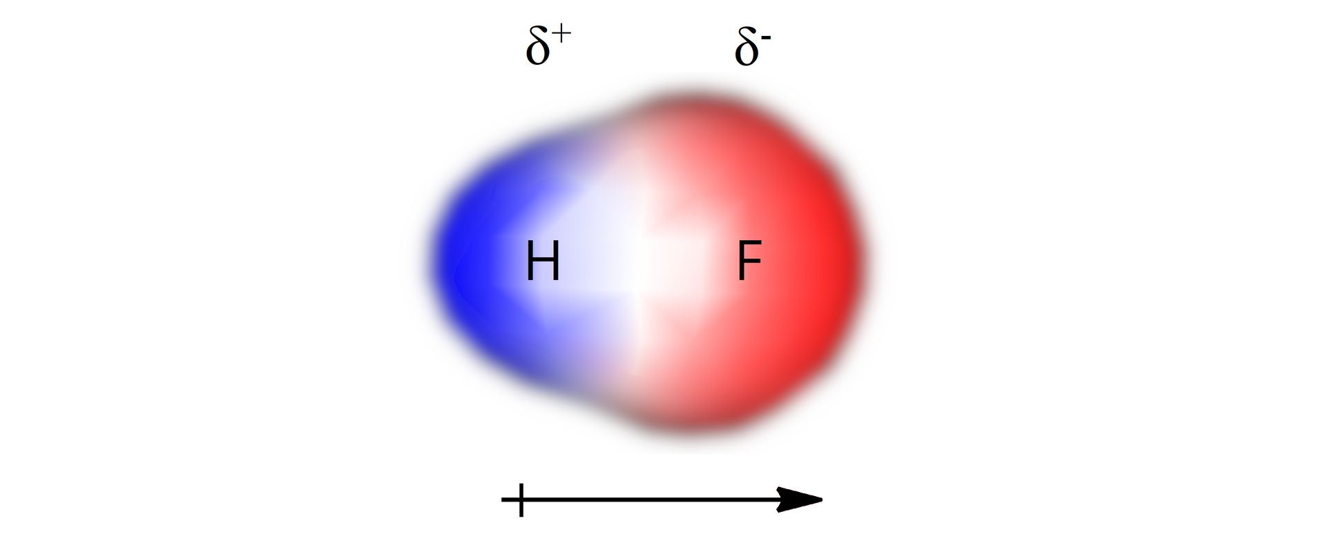 Ilustracja przedstawia stykające się dwie kuliste przestrzenie reprezentujące cząsteczkę fluorowodoru. Wodór stanowi niebieska kula nachodząca na większą czerwoną kulę odpowiadającą atomowi fluoru. Na każdej przestrzeni zapisano odpowiedni symbol pierwiastka - H dla wodoru oraz F dla fluoru. Nad wodorem zaznaczono cząstkowy ładunek dodatni delta plus. Z kolei nad atomem fluoru - delta minus. Poniżej, pod cząsteczką poprowadzono strzałkę skierowaną w prawo, od atomu atomu wodoru w kierunku atomu fluoru.