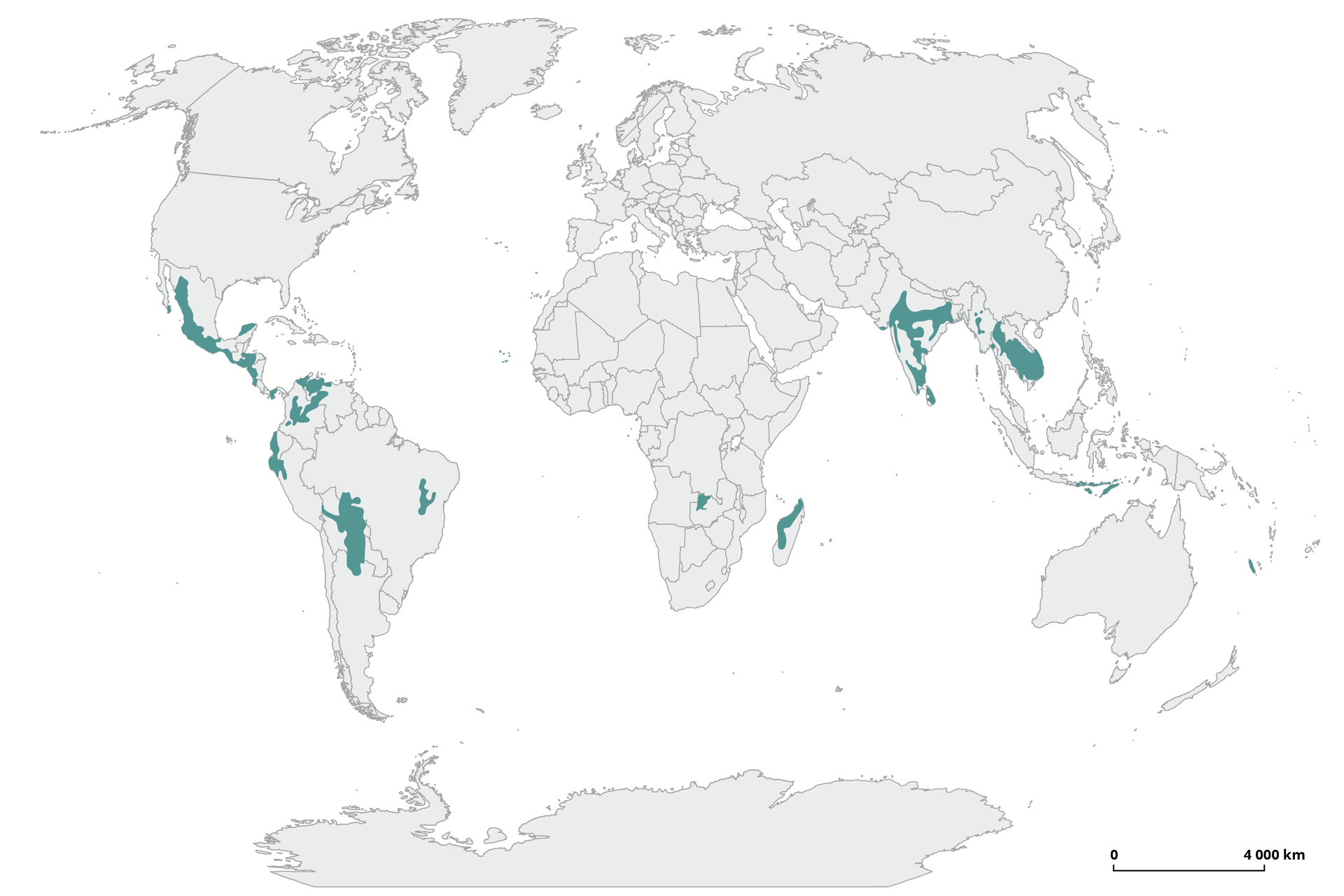 Na mapie świata zaznaczono obszary występowania lasów podrównikowych. Zajmują one tereny wschodniego wybrzeża Meksyku i częściowo Ameryki Środkowej, część Peru, Boliwii, północny,zachód Madagaskaru, różne obszary Indii, Laosu i Wietnamu.