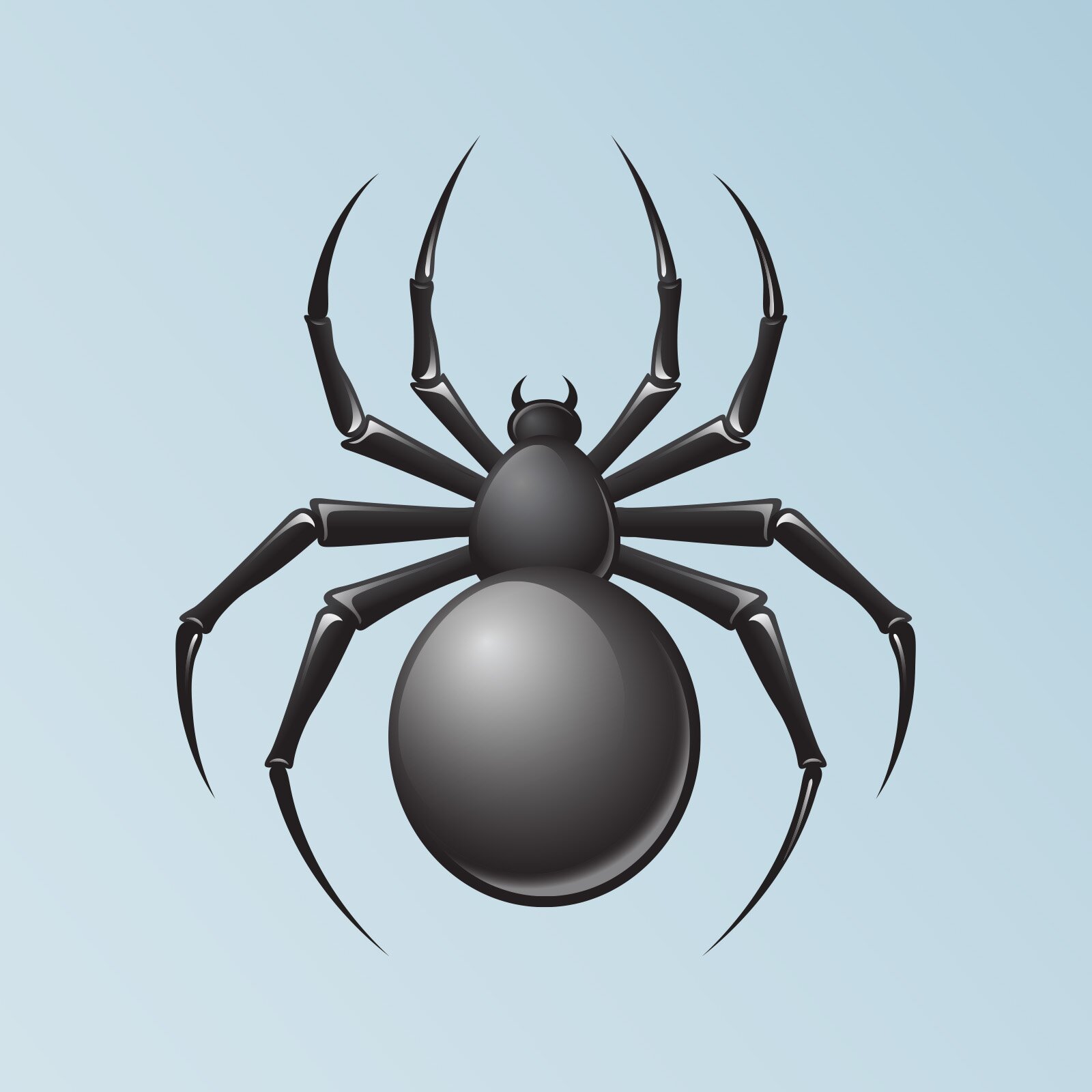 Ilustracja przedstawia czarnego pająka z ośmioma odnóżami. 