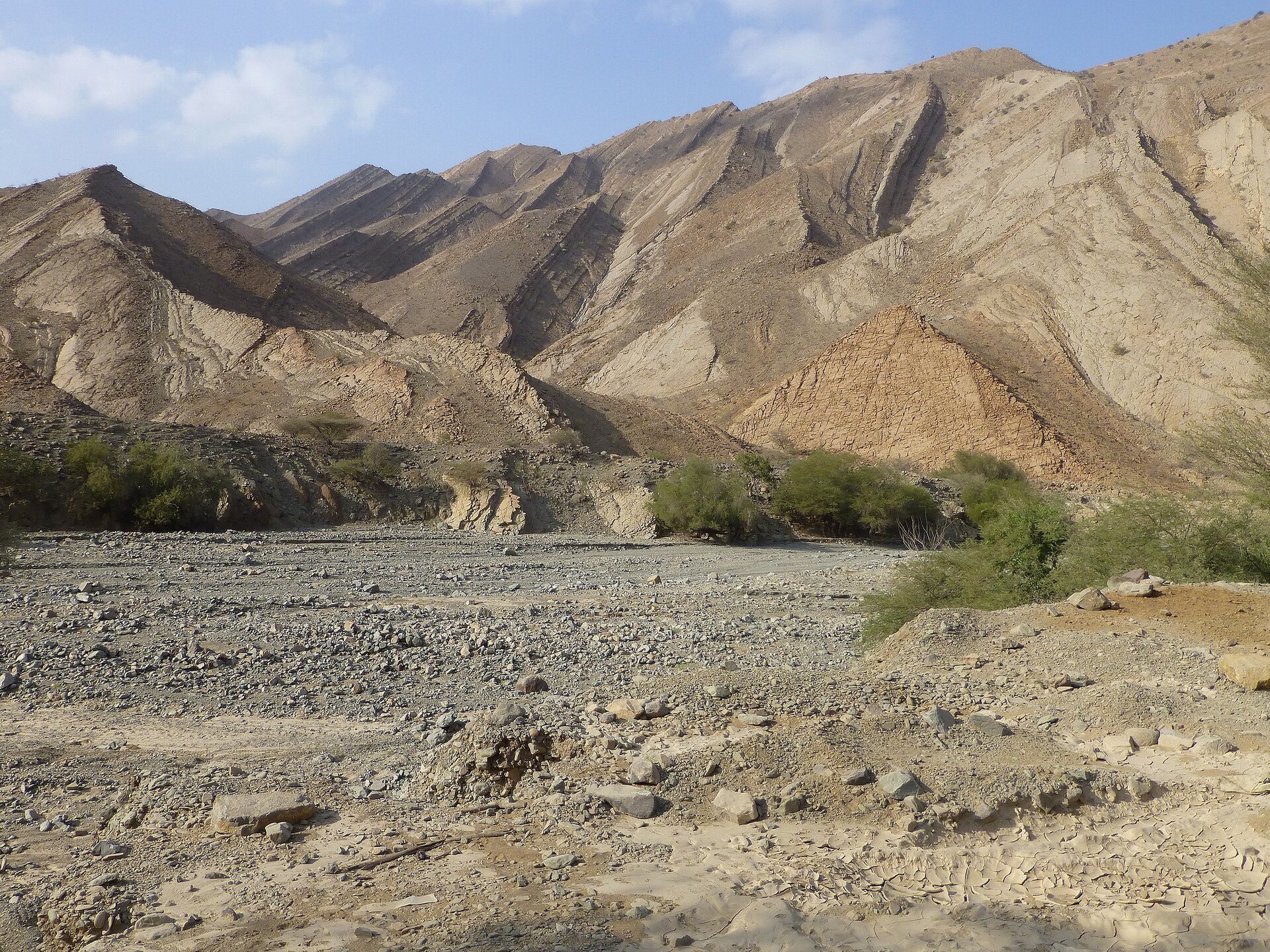 Na pierwszym planie zdjęcia płaski teren bez roślinności, pokryty jałową glebą i kamieniami. Na drugim planie krzewy, a dalej wzniesienia niepokryte roślinnością.