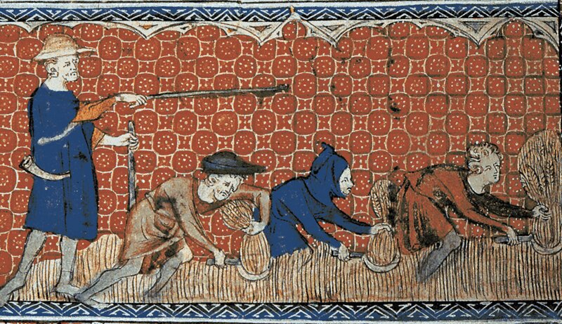 Ilustracja przedstawia chłopów zbierających zboże. Stoi nad nimi zarządca, który pilnuje ich przy pracy. Chłopi używając sierpów ścinają zboże i wiążą je w snopki.