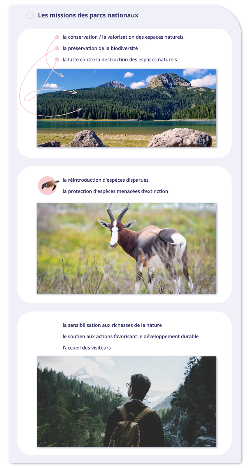 Ilustracja zatytułowana Les missions des parcs nationaux składa się z trzech części. Każda z nich zawiera tekst i zdjęcie. Część pierwsza. Zdjęcie przedstawia zalesione wzgórze nad wodą. Punkt pierwszy: la conservation / la valorisation des espaces naturels - strzałka od tego punktu wskazuje niebo. Punkt drugi: la préservation de la biodiversité - strzałka wskazuje drzewa. Punkt trzeci: la lutte contre la destruction des espaces naturels - strzałka wskazuje drzewa. Druga część zawiera mini grafikę z żółwiem wodnym obok tekstu: la réintroduction d'espèces disparuesla protection d'espèces menacées d'extinction. Poniżej zdjęcie antylopy. Część trzecia zawiera tekst: la sensibilisation aux richesses de la naturele soutien aux actions favorisant le développement durablel'accueil des visiteurs a poniżej zdjęcie mężczyzny wędrującego z plecakiem po lesie w górach.