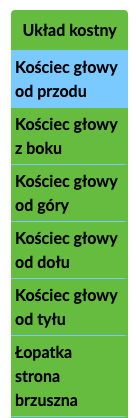 Grafika przedstawia listę schematów w atlasie. Od góry. Układ kostny, kościec głowy z boku, kościec głowy od góry, kościec głowy od dołu, kościec głowy od tyłu, łopatka strona brzuszna.