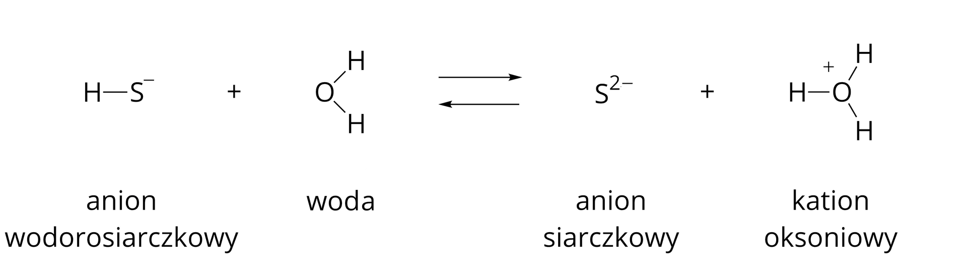 Grafika przedstawia równanie reakcji dysocjacji elektrolitycznej anionu wodorosiarczkowego przedstawione za pomocą wzorów strukturalnych. Atom H połączony wiązaniem pojedynczym z atomem S z symbolem minus w indeksie górnym, podpisany "anion wodorosiarczkowy". Dalej plus i atom O połączony dwoma wiązaniami pojedynczymi z dwoma atomami H. Obok znajdują się dwie poziome strzałki, jedna nad drugą, wskazujące w przeciwne strony – jedna w prawo, a druga w lewo, oznaczające, że reakcja zachodzi w dwie strony. Za strzałkami znajduje się atom S z dwa minus w indeksie górnym, podpisany "anion siarczkowy". Dalej widać plus i atom O z indeksem górnym plus, połączony trzema wiązaniami pojedynczymi z trzema atomami H, podpisany "kation oksoniowy".