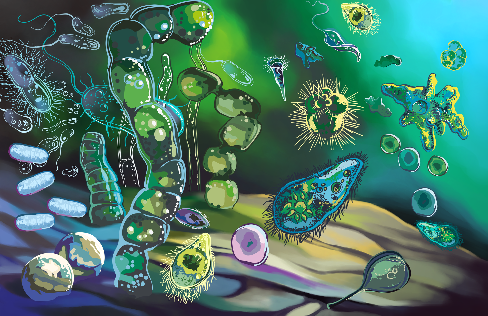 Grafika przedstawiająca pierwsze komórki eukariotyczne. Są one różnokształtne i wielokolorowe - widoczne są komórki bakteryjne, a także protisty. Komórki różnią się wielkością, kształtem, obecnością rzęsek i wici, kolorem.