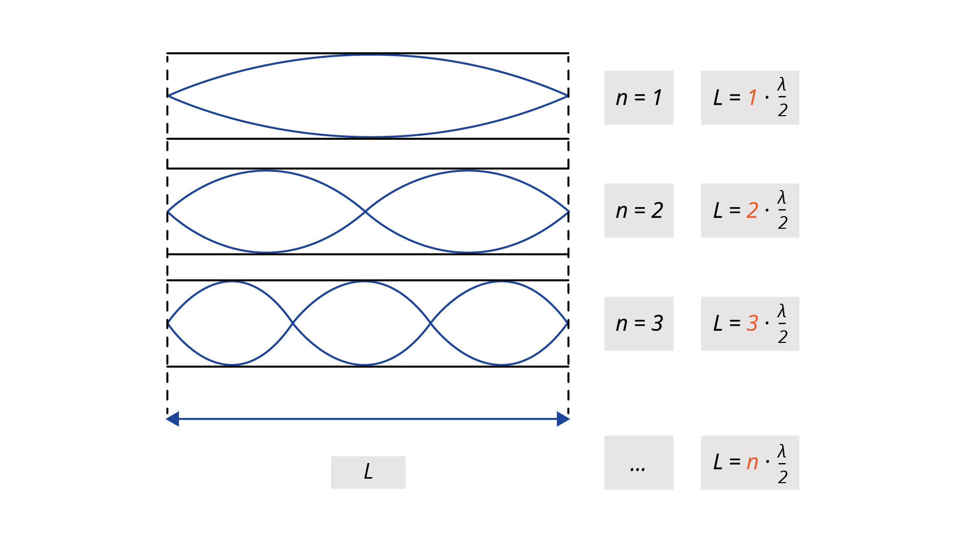 Na ilustracji narysowane są dwie przerywane pionowe i zaznaczona odległość L. Między nimi od góry narysowane są dwie linie poziome oraz dwie krzywe, których końce są na liniach pionowych, w środku odległości między liniami poziomymi. Środki krzywych stykają się w liniami poziomymi w połowie długości L. Po prawej stronie rysunku zapis n równa się 1, L równa się 1 pomnożyć przez ułamek, lambda przez 2. Poniżej między liniami pionowymi narysowane są dwie linie poziome oraz dwie krzywe, których końce są na liniach pionowych, w środku odległości między liniami poziomymi. Środki krzywych przecinają się w połowie długości L, środki części stykają się z liniami poziomymi. Po prawej stronie rysunku zapis n równa się 2, L równa się 2 pomnożyć przez ułamek, lambda przez 2. Poniżej między liniami pionowymi narysowane są dwie linie poziome oraz dwie krzywe, których końce są na liniach pionowych, w środku odległości między liniami poziomymi. Krzywe w jednej trzeciej i dwóch trzecich długości L przecinają się, środki części stykają się z liniami poziomymi.. Po prawej stronie rysunku zapis n równa się 3, L równa się 3 pomnożyć przez ułamek, lambda przez 2. Poniżej zapis: … , L równa się n pomnożyć przez ułamek, lambda przez 2.