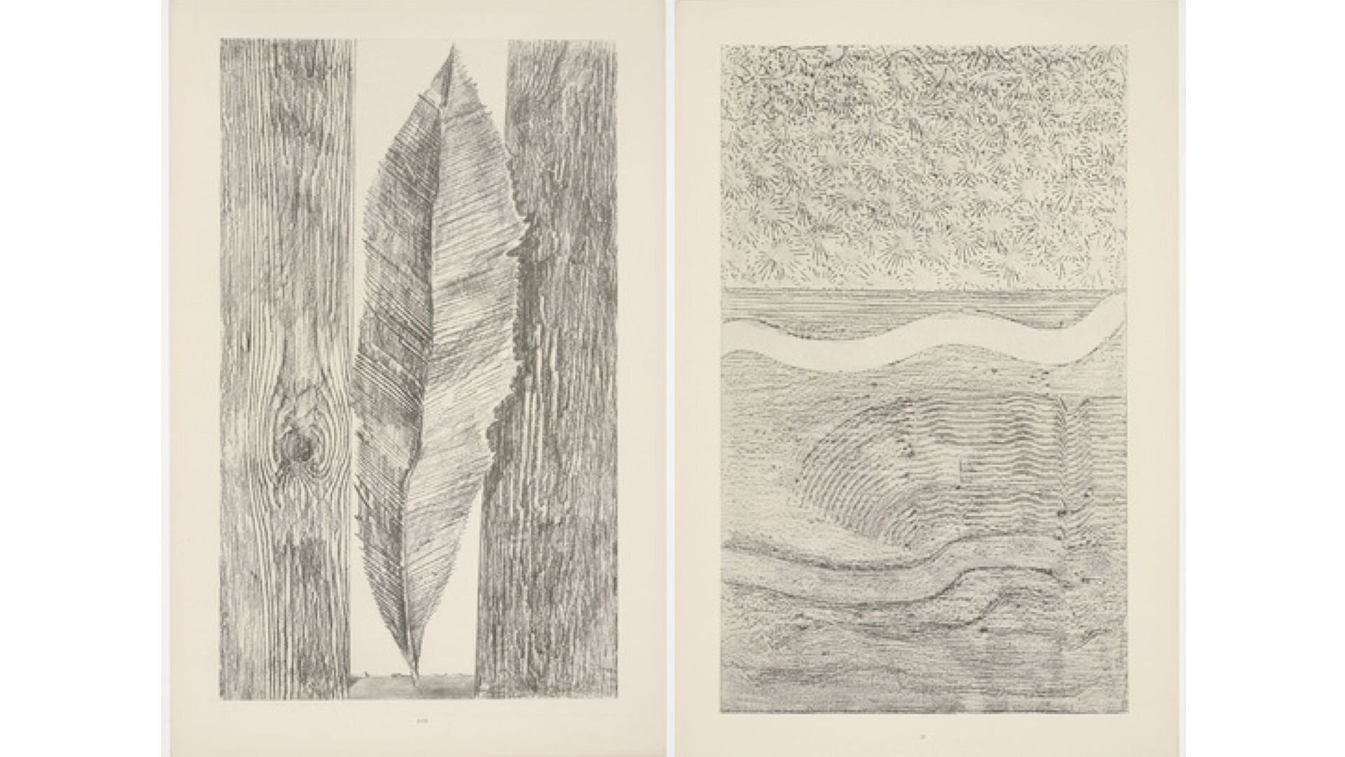 Ilustracja przedstawia szkic Maxa Ernsta „Liść”. Obraz podzielony jest na dwie części. Pierwsza to liść, który stoi między dwiema deskami, tak jakby wpadł między sztachety płotu. Druga część to jakby fragment liścia w powiększeniu pokazujący jego strukturę. Oba szkice są przyblakłe.