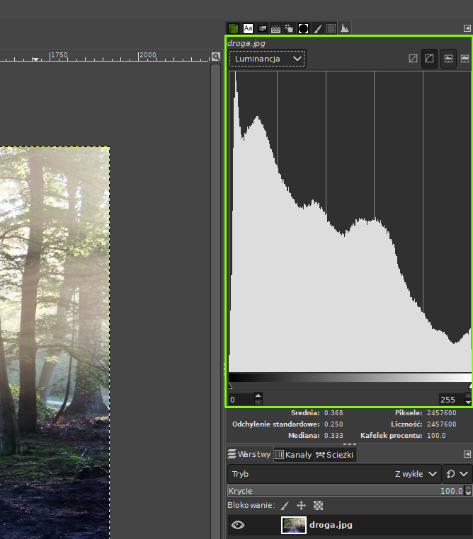 Ilustracja przedstawia okno programu. Po prawej stronie okna znajduje się histogram. U góry jest pole listy rozwijanej o nazwie: Luminancja. Obszar histogramu jest otoczony zieloną ramką. Pod histogramem jest panel dotyczący Warstw.  