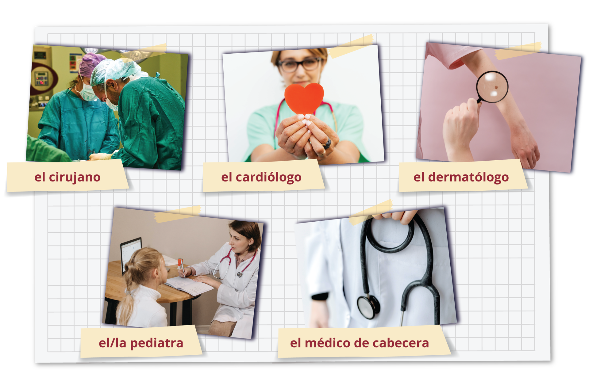 Grafika przedstawia kolaż zdjęć. Każde zdjęcie jest podpisane. 
Pierwsze zdjęcie przedstawia lekarzy nad stołem operacyjnym. Podpis el cirujano.
Drugie zdjęcie przestawia lekarkę trzymającą w ręku papierowe serce. Podpis el cardiólogo.
Trzecie zdjęcie przedstawia osobę oglądającą za pomocą lupy znamię na ręku innej osoby. Podpis el dermatólogo.
Czwarte zdjęcie przedstawia małą  dziewczynę na wizycie w gabinecie lekarskim. Podpis el/la pediatra.
Piąte zdjęcie przedstawia osobę w fartuchu lekarskim, które zatrzyma stetoskop. Podpis el médico de cabecera.