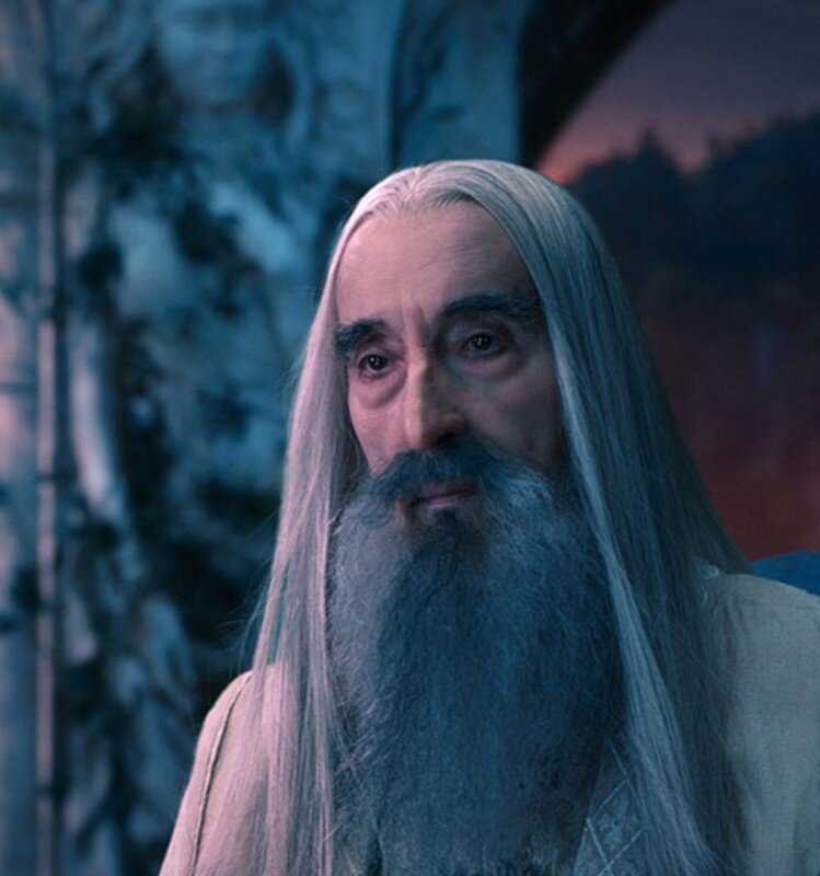 Zdjęcie przedstawia siwowłosego starca. Mężczyzna ma długie, proste włosy i gęstą siwą brodę. Jego twarz jest pociągła.