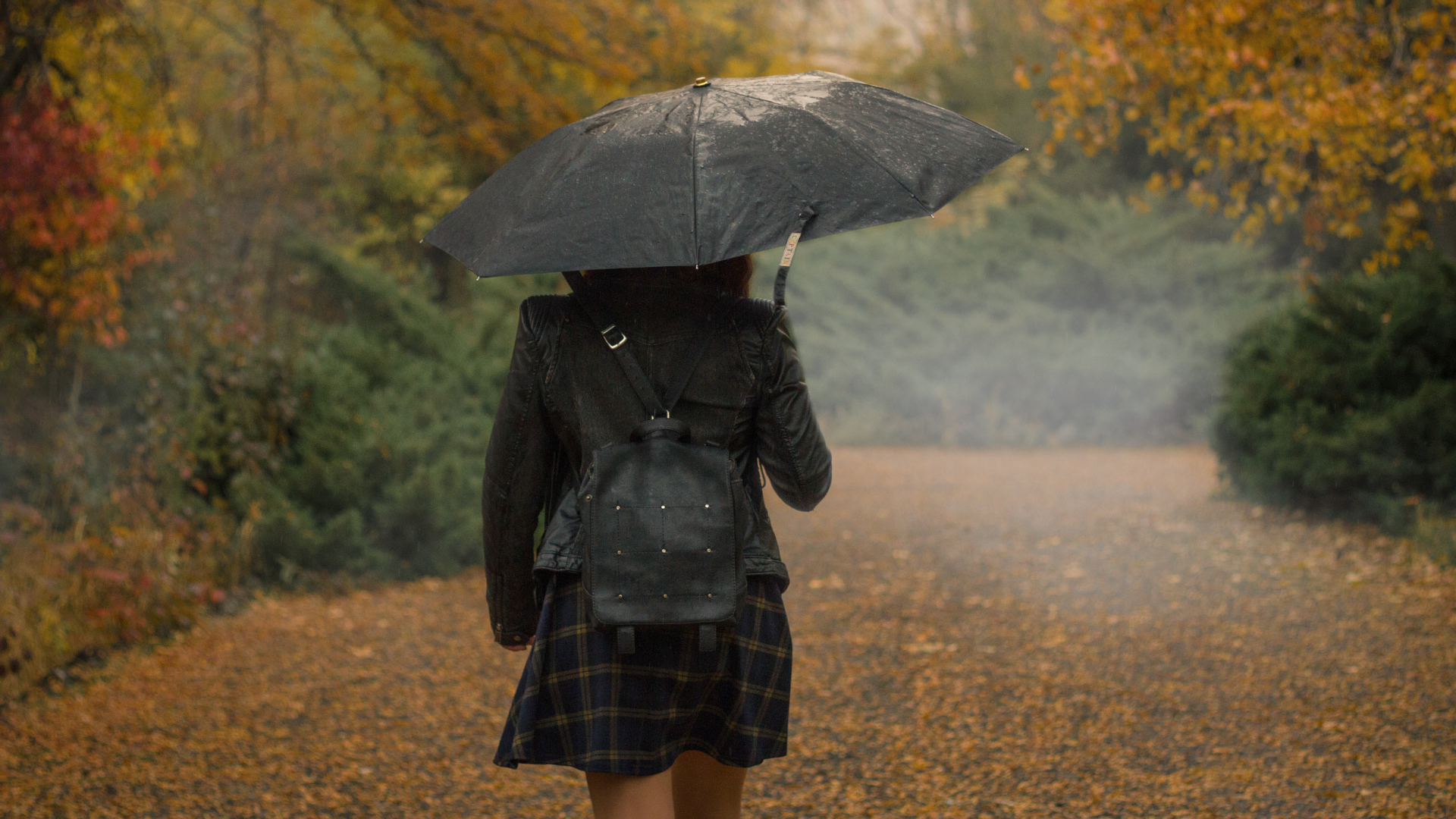 Zdjęcie przedstawia dziewczynę w parku idącą pod parasolem w czasie deszczu w jesiennej aurze. Na ścieżce, przed dziewczyną widoczna jest mgła. 
