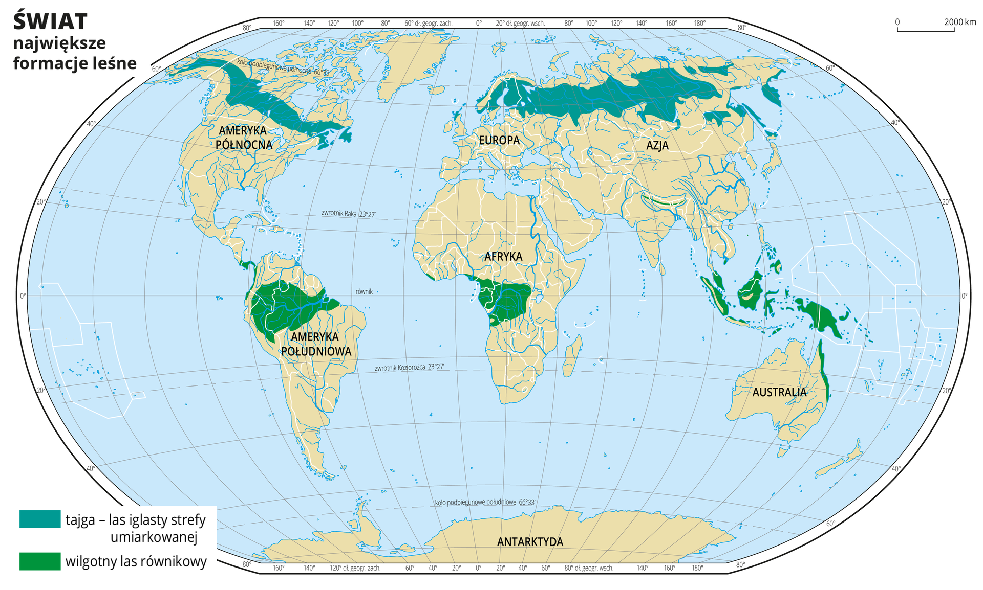 Ilustracja przedstawia mapę świata. Wody zaznaczono kolorem niebieskim. Opisano kontynenty. Na mapie za pomocą kolorów oznaczono występowanie największych formacji leśnych – tajgi i wilgotnych lasów równikowych. Mapa pokryta jest równoleżnikami i południkami, które opisano w białej ramce dookoła mapy co dwadzieścia stopni. Po lewej stronie narysowano dwa prostokąty i objaśniono kolory użyte na mapie. Kolorem niebieskim oznaczono tajgę, las iglasty strefy umiarkowanej – występuje w pasie od środkowej Alaski ciągnącym się na południowy wschód do środkowej części wschodniej granicy Kanady. Występuje również w Europie i Azji – na dużym obszarze w pasie od Półwyspu Skandynawskiego do wschodniej części Azji, w pasie między pięćdziesiątym piątym stopniem szerokości geograficznej północnej do linii północnego koła podbiegunowego. Kolorem zielonym oznaczono wilgotne lasy równikowe – występują one na obszarach położonych wzdłuż równika, na obszarze dorzecza Amazonki, rzeki Kongo oraz na Sumatrze, Borneo, Celebes, Nowej Gwinei i mniejszych wyspach położonych w tamtym regionie.