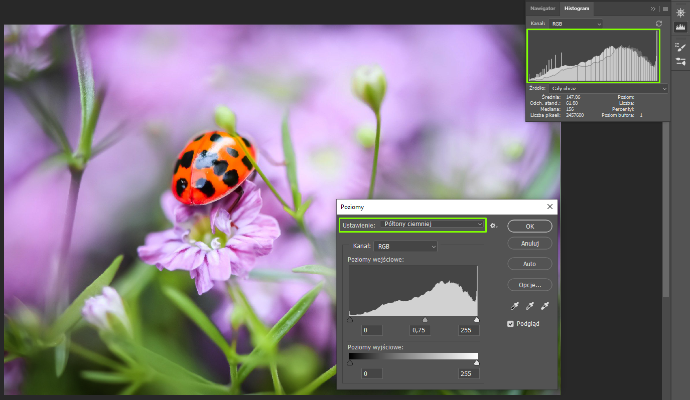 Ilustracja przedstawia okno programu. W obszarze roboczym jest zdjęcie biedronki siedzącej na różowym kwiatku. Po prawej stronie jest okno dialogowe o nazwie: Poziomy. W Ustawieniach z listy wybrano Półtony ciemniej. W Kanale jest RGB. Poniżej jest histogram. Po jego lewej stronie jest wartość zero, na środku 0,75, po prawej 255. Zaznaczono: Podgląd. W prawym górnym rogu okna jest opcja dotycząca histogramu. Kanałem jest RGB. Histogram otoczono zieloną ramką. Poniżej są parametry histogramu.    
