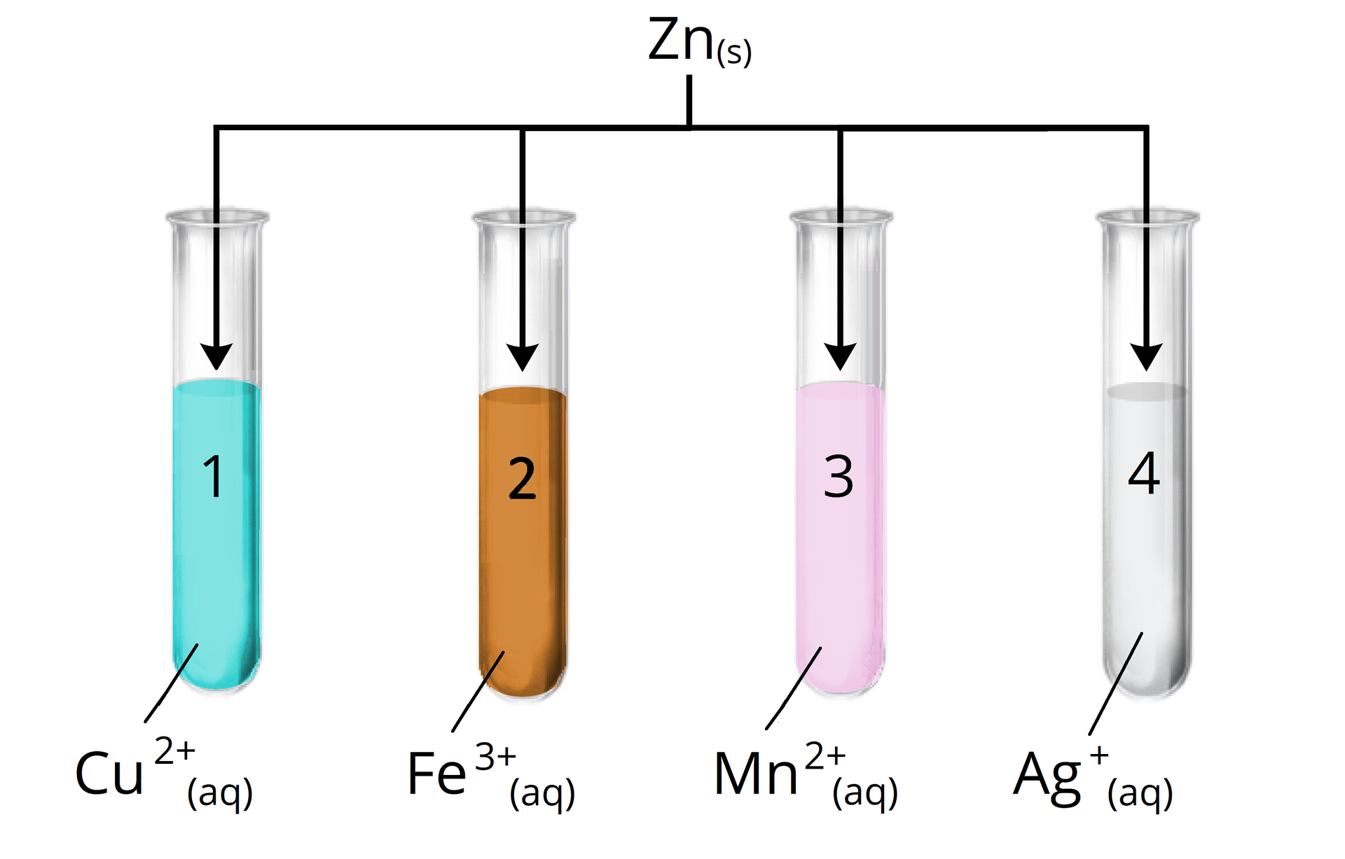 Schemat doświadczenia przedstawia cztery probówki. W pierwszej znajduje się niebieski roztwór kationów Cu2+, w drugiej znajduje się brązowy roztwór kationów Fe3+, w trzeciej znajduje się bladoróżowy roztwór kationów Mn2+, a w czwartej znajduje się przezroczysty roztwór kationów Ag+. Do każdej z probówek dodano <math aria‑label="zete en">Zn w postaci stałej, czyli cynk.