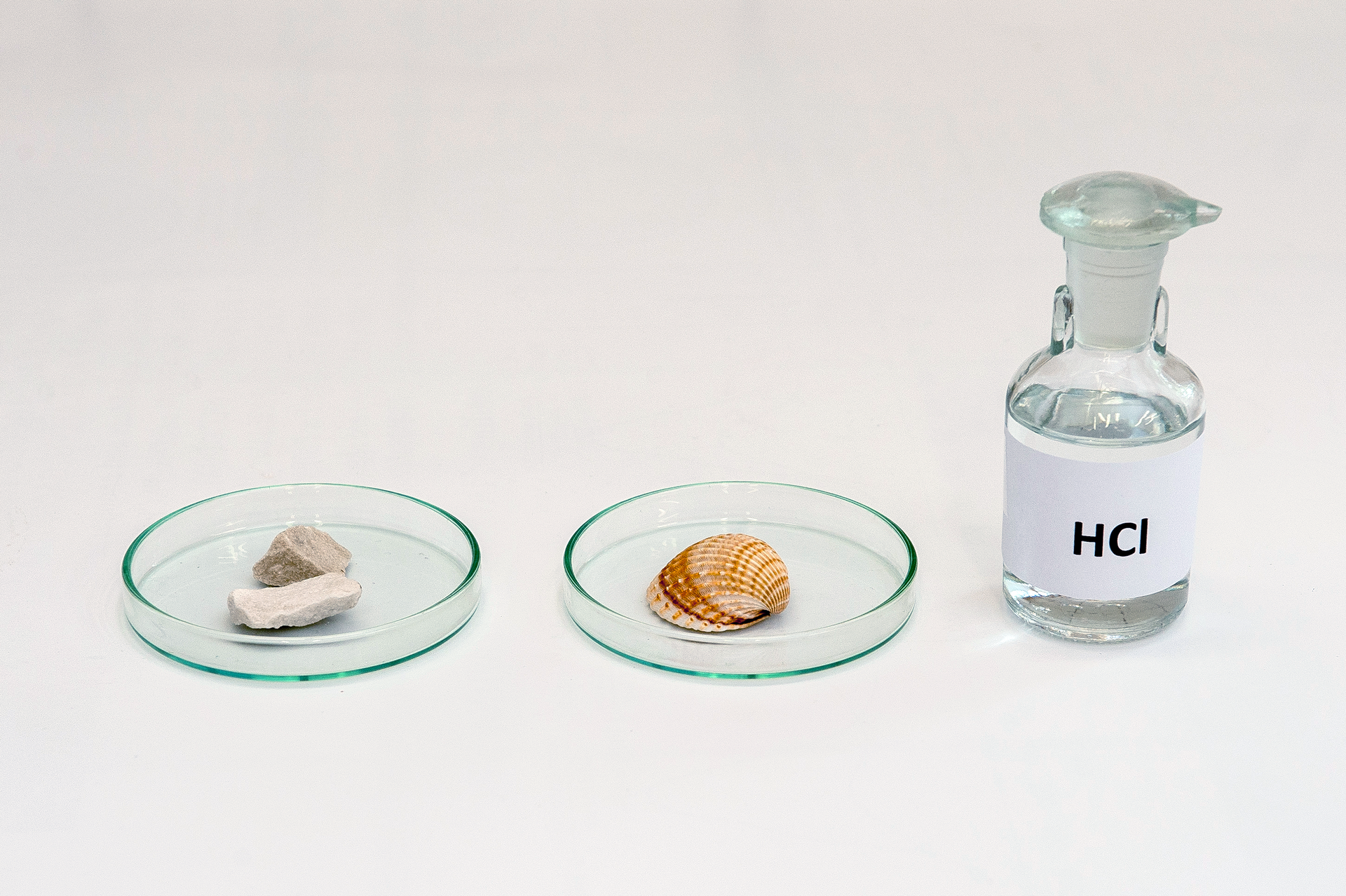 Pierwsze zdjęcie galerii przedstawia przygotowania do eksperymentu. Na jasnej powierzchni leżą obok siebie, licząc od lewej: szalka Petriego z dwoma kawałkami skały wapiennej, szalka Petriego z muszlą oraz szklana zakorkowana butelka z napisem HCl na etykiecie.