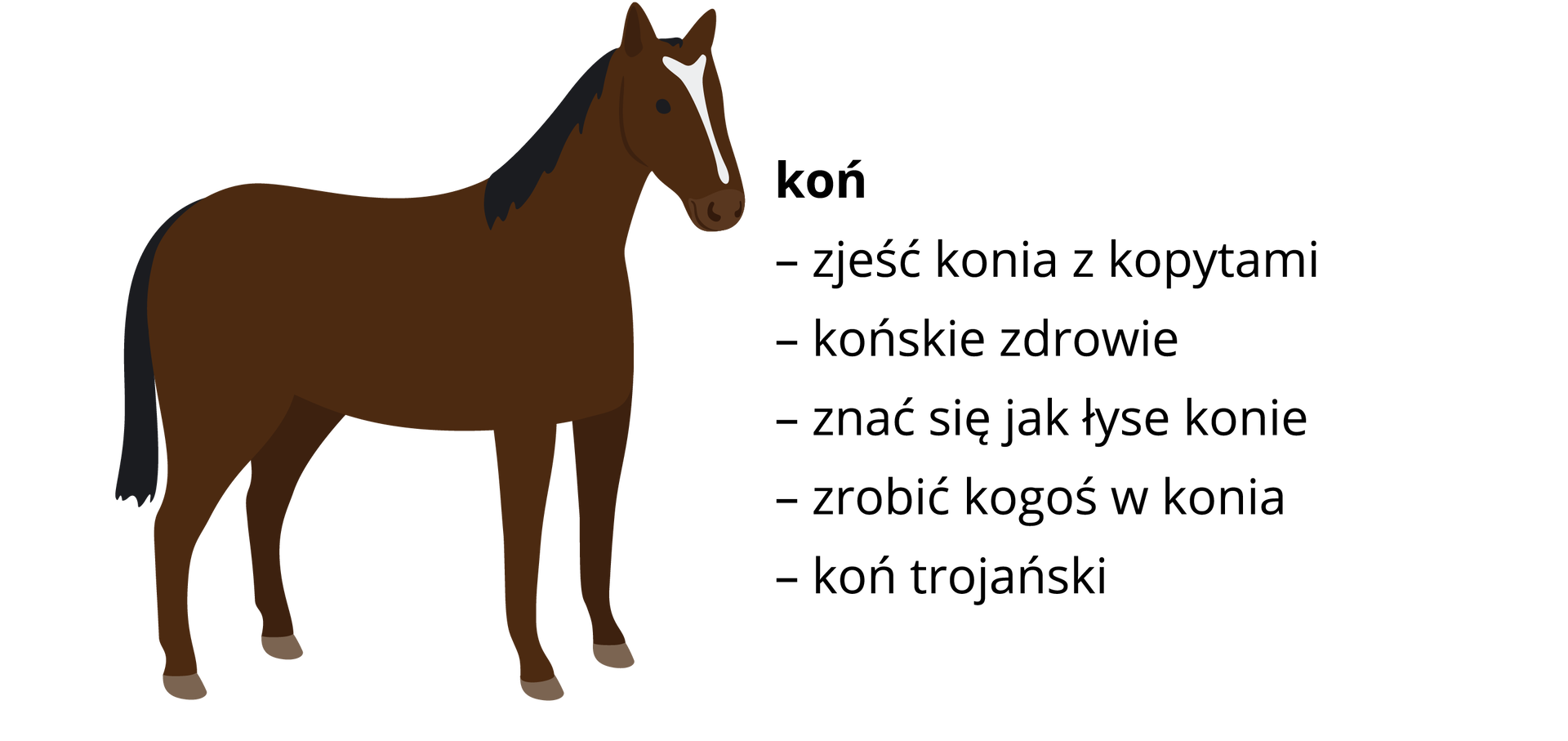 Ilustracja przedstawia konia z jasną plamą na łbie. Obok wypisane są związki frazeologiczne: koń: zjeść konia z kopytami, końskie zdrowie, znać się jak łyse konie, zrobić kogoś w konia, koń trojański.
