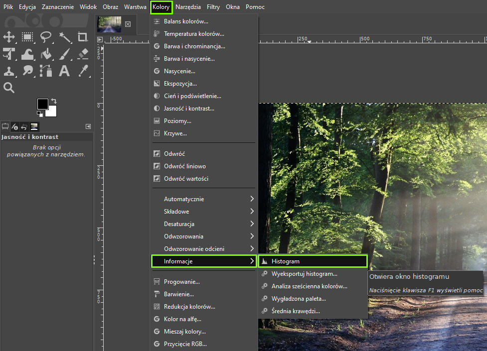 Ilustracja przedstawia okno programu. Z menu wybrano zakładkę: Kolory, następnie z listy wybrano: Informacje i kolejno Histogram. W obszarze roboczym jest fragment zdjęcia lasu wraz z leśną ścieżką.  