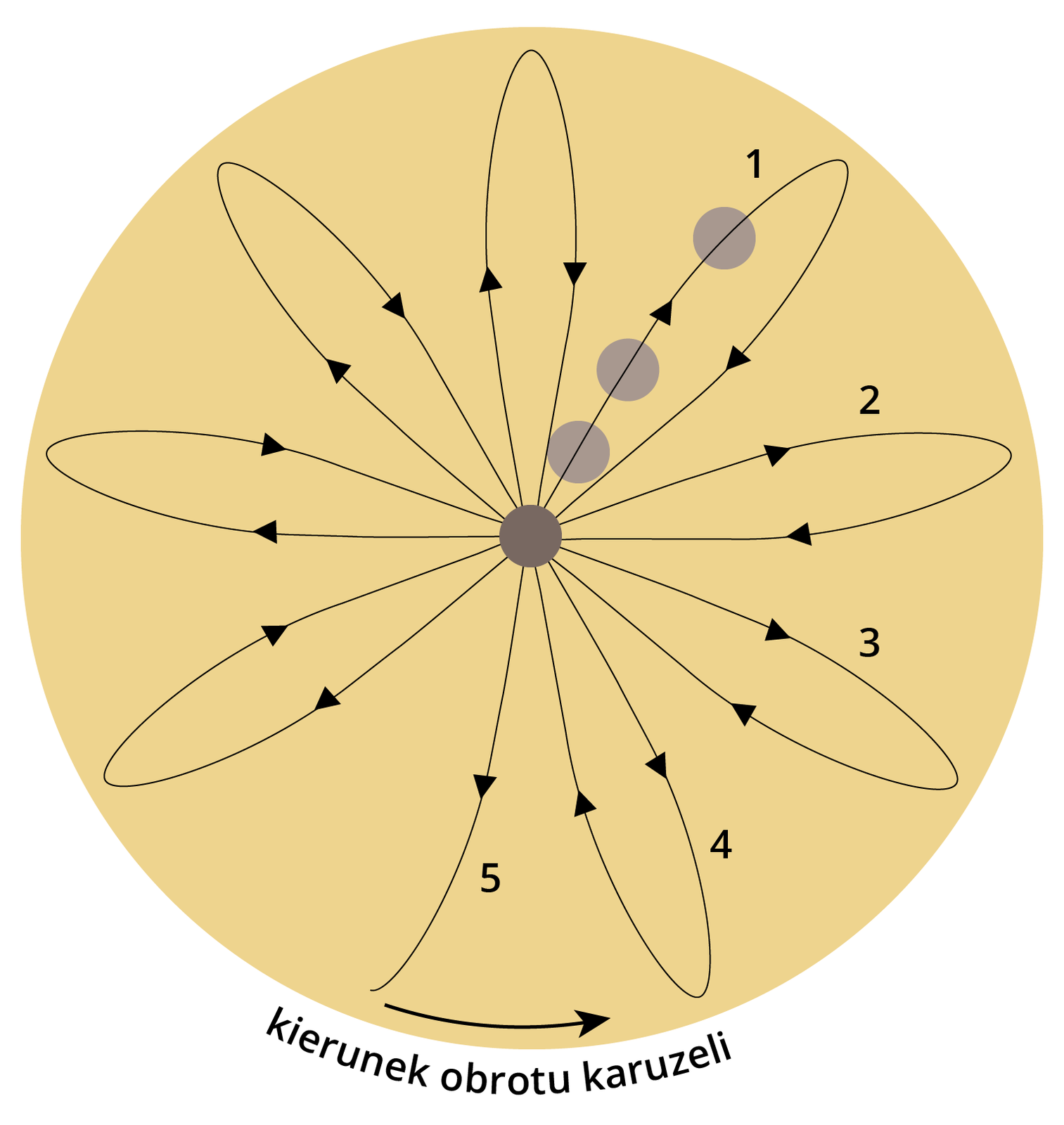 Ilustracja przedstawia ślady ruchów wahadła umieszczonego na obracającej się karuzeli. Na ilustracji na żółtym kole znajdują się promieniście rozłożone pętle. W centrum jest brązowa kulka. Na pętli oznaczonej numerem jeden znajdują się trzy kulki. Na każdej pętli są strzałki przedstawiające ruch w prawo - od środka, a następnie ponownie ku środkowi. Na dole koła jest strzałka w prawo z napisem: kierunek obrotu karuzeli.