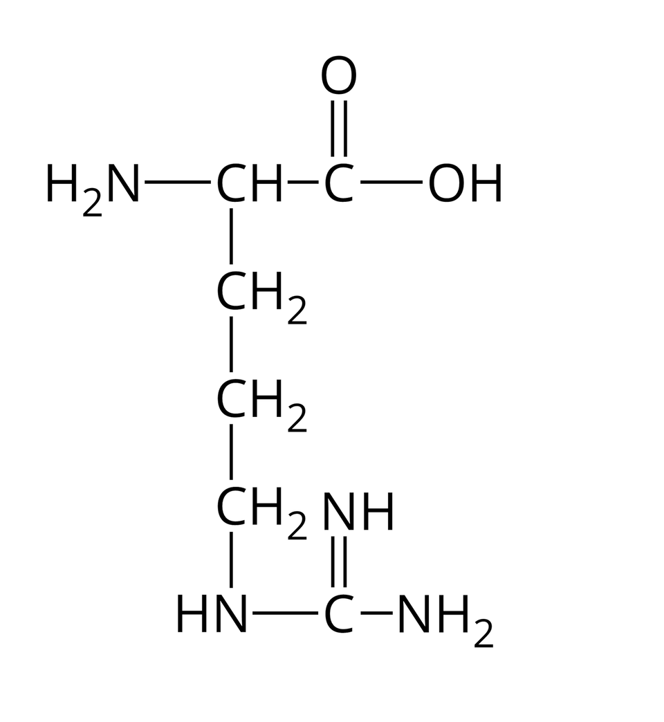 Wzór półstrukturalny argininy. Do grupy H indeks dolny, dwa, koniec indeksu dolnego, N z prawej strony przyłączona jest grupa C H. Od niej odchodzą dwa wiązania pojedyncze. Pierwsze skierowane jest w prawo do atomu węgla. Od niego odchodzą dwa wiązania: podwójne w górę, prowadzące do atomu tlenu i pojedyncze w prawo do grupy O H. Drugie wiązanie odchodzące od grupy C H skierowane jest w dół i łączy się z grupą C H indeks dolny, dwa, koniec indeksu dolnego, od której odchodzi pojedyncze wiązanie w dół do grupy C H indeks dolny, dwa, koniec indeksu dolnego, a od niej kolejne pojedyncze wiązanie w dół do grupy C H indeks dolny, dwa, koniec indeksu dolnego. Od niej poprowadzone jest wiązanie w dół do grupy H N, od której odchodzi wiązanie w prawo do atomu węgla. Od niego poprowadzone są dwa wiązania: podwójne do góry do grupy N H i pojedyncze w prawo do grupy N H indeks dolny, dwa, koniec indeksu dolnego.