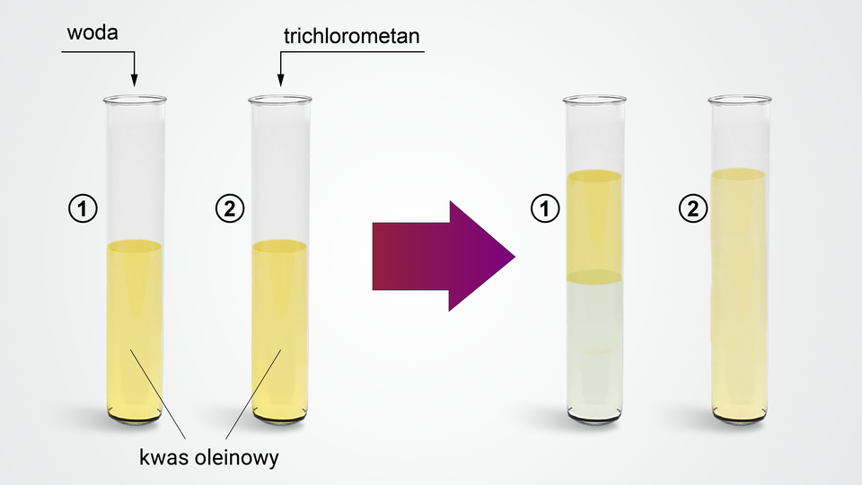 Na ilustracji ukazano schemat badania. Z lewej strony znajdują się dwie identyczne probówki, opisane numerami jeden i dwa, zawierające żółty kwas oleinowy. Do pierwszej probówki poprowadzona jest strzałka z napisem woda, a do drugiej – z napisem trichlorometan. Dalej znajduje się bordowa strzałka skierowana w prawo, a za nią dwie probówki, opisane numerami jeden i dwa. Pierwsza z nich zawiera dwie warstwy substancji: przezroczystą na dole i żółtą na górze. Druga probówka zawiera jasnożółtą substancję.