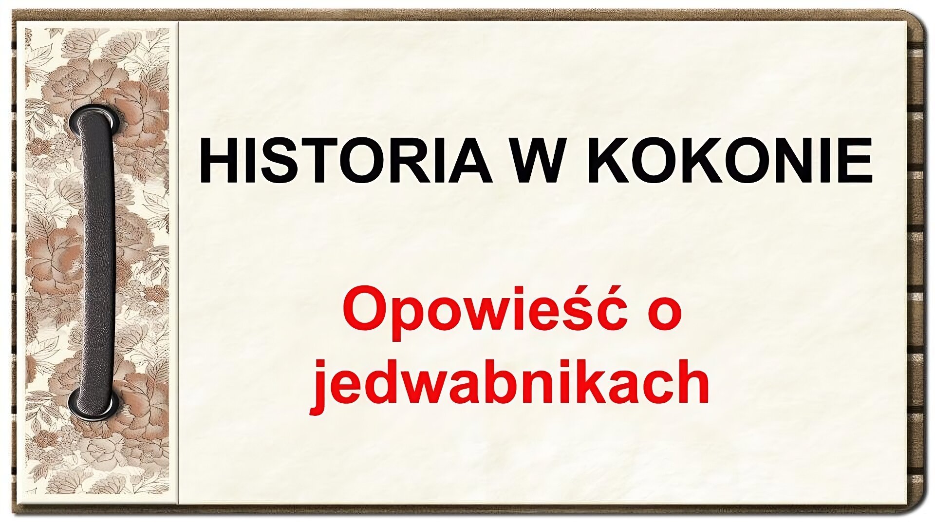 Jasna plansza początkowa, stylizowana na okładkę albumu ze zdjęciami. Po lewej stronie ozdobny margines z narysowanymi kwiatami. W centralnej części czarne i czerwone napisy: Historia w kokonie. Opowieść o jedwabnikach.