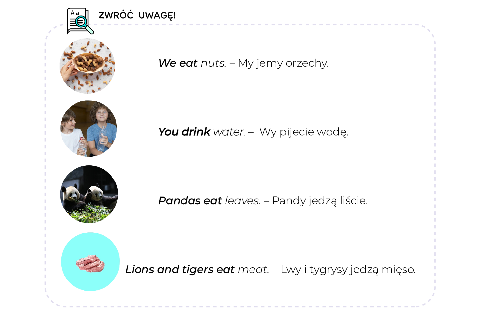 Ilustracja jest podpisana Zwróć uwagę, a w jej lewym górnym rogu znajduje się ikona kartki i lupy. Poniżej widzimy cztery zdjęcia z podpisami po angielsku i ich tłumaczeniami na język polski. Pierwsze zdjęcie przedstawia dłoń trzymającą rożek z orzeszkami. Podpis brzmi  We eat nuts.  My jemy orzechy. Drugie zdjęcie przedstawia dwóch chłopców w wieku wczesnoszkolnym, którzy piją wodę z plastikowych bidonów. Podpis brzmi  You drink water.  Wy pojecie wodę. Trzecie zdjęcie przedstawia dwie pandy jedzące liście. Podpis brzmi  Panda seat leaves  Pandy jedzą liście. Czwarte zdjęcie przedstawia płaty mięsa. Podpis brzmi:  Lions and tigers eat meat.   Lwy i tygrysy jedzą mięso. 