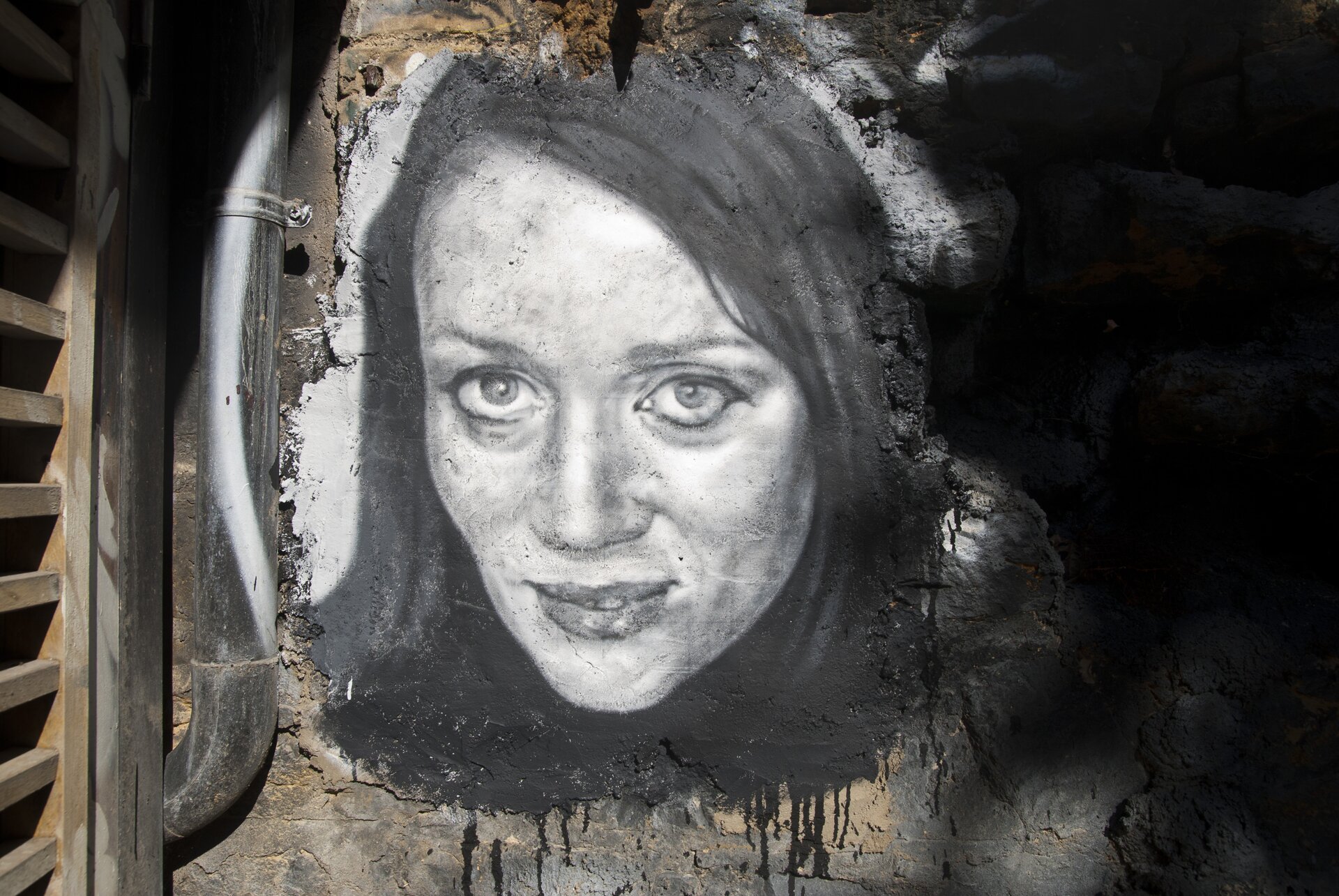 Ilustracja przedstawia pracę Thierry Ehrmannv „Portret Niki de Saint Phalle”. Dzieło z 2015 roku. Na fotografii widzimy kobietę w długich, ciemnych włosach. Bohaterka ma podkrążone oczy oraz wesoły wyraz twarzy. Z lewej strony portretu możemy dostrzec liczne rury. Autorem pracy jest francuski artysta i biznesmen.