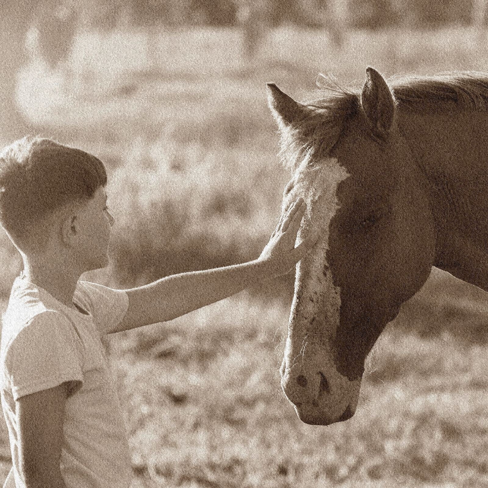 Zdjęcie przedstawia chłopca z wyciągniętą przed siebie ręką, którą dotyka głowy konia stojącego przed nim.