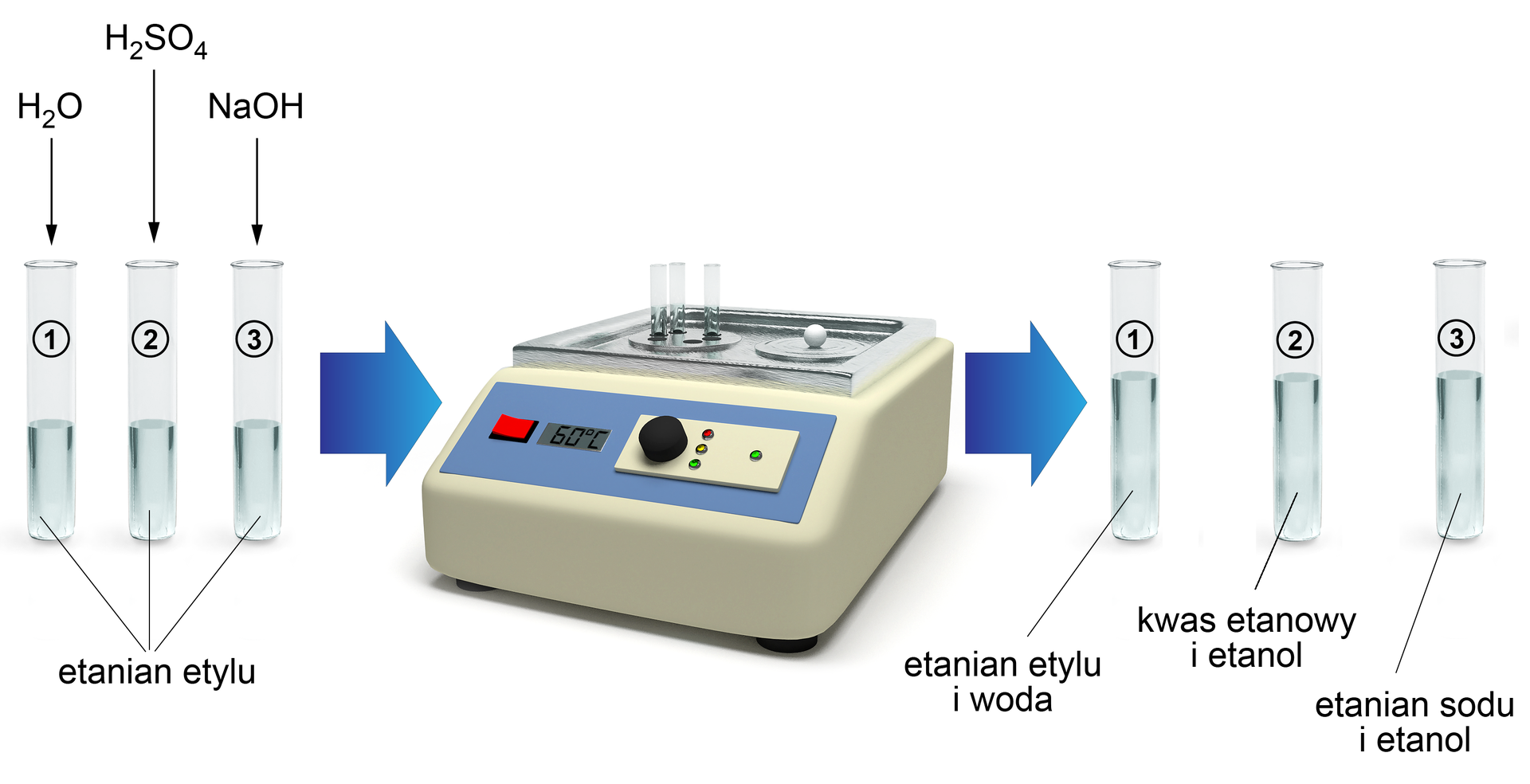 Schemat doświadczenia hydrolizy estrów. Po lewej stronie przestawiono trzy probówki z etanianem etylu. Do pierwszej dodano wodę, do drugiej kwas siarkowy(<math aria‑label="sześć">VI), a do trzeciej wodorotlenek sodu. Po prawej stronie znajduje się niebieska strzałka, po jej prawej stronie - łaźnia wodna z termostatem ustawionym na sześćdziesiąt stopni Celsjusza, w której umieszczono trzy wspomniane probówki. Po prawej stronie znajduje się niebieska strzałka, po jej prawej stronie znajdują się trzy probówki po zakończeniu doświadczenia. W pierwszej z nich znajduje się etanian etylu i woda, w drugiej kwas etanowy i etanol, w trzeciej etanian sodu i etanol.