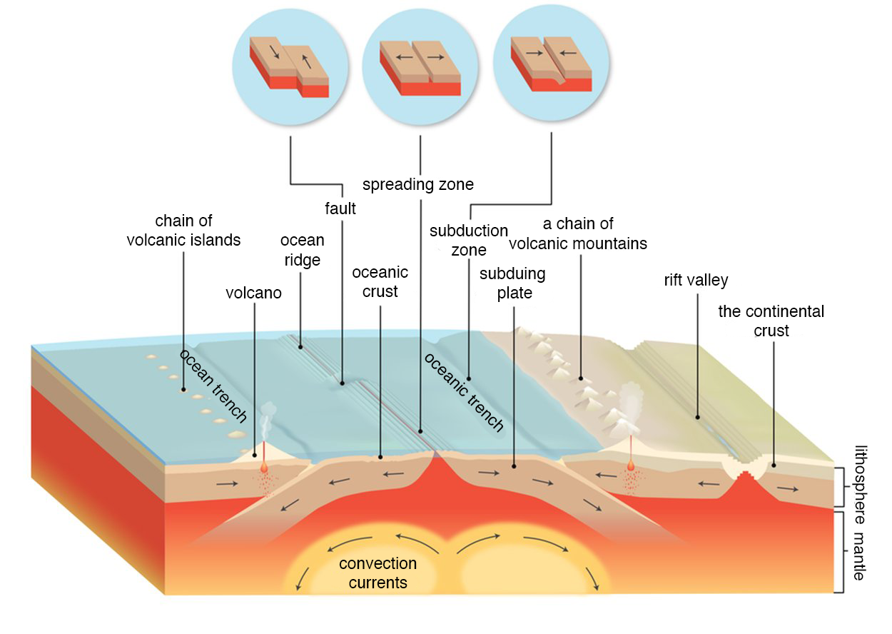 Grafika przedstawia wycinek skorupy ziemskiej, jej warstwę zewnętrzną i wewnętrzną. Na górze widać kawałek oceanu wraz z brzegiem. W dolnym fragmencie opisano dwie warstwy litosferę, lithosphere i płaszcz ziemski, mantle. Na dnie oceanu widać wypiętrzenia (chain of volcanic island) i łączenia płyt tektonicznych (oceanic trench), miejsca te opisano jako strefy rozchodzenia się płyt, spreading zone. Na brzegu oznaczono łańcuch gór wulkanicznych, a chain of volcanic mountains, rozchodzące się brzegi doliny ryftowej, rift valley. Opisano trzy rodzaje ścierania się płyt tektonicznych: 1. Fault, kiedy dwie płyty stykają się, ale każda z nich przemieszcza się w innym kierunku, jedna do góry, druga do dołu. 2. Spreading zone, kiedy dwie płyty stykają się, ale każda z nich przemieszcza się w przeciwnym kierunku, płyty rozchodzą się jedna w lewo, druga w prawo. 3. Subduction zone, kiedy dwie płyty stykają się i każda z nich przemieszcza się w tym samym kierunku, prąc na siebie. 