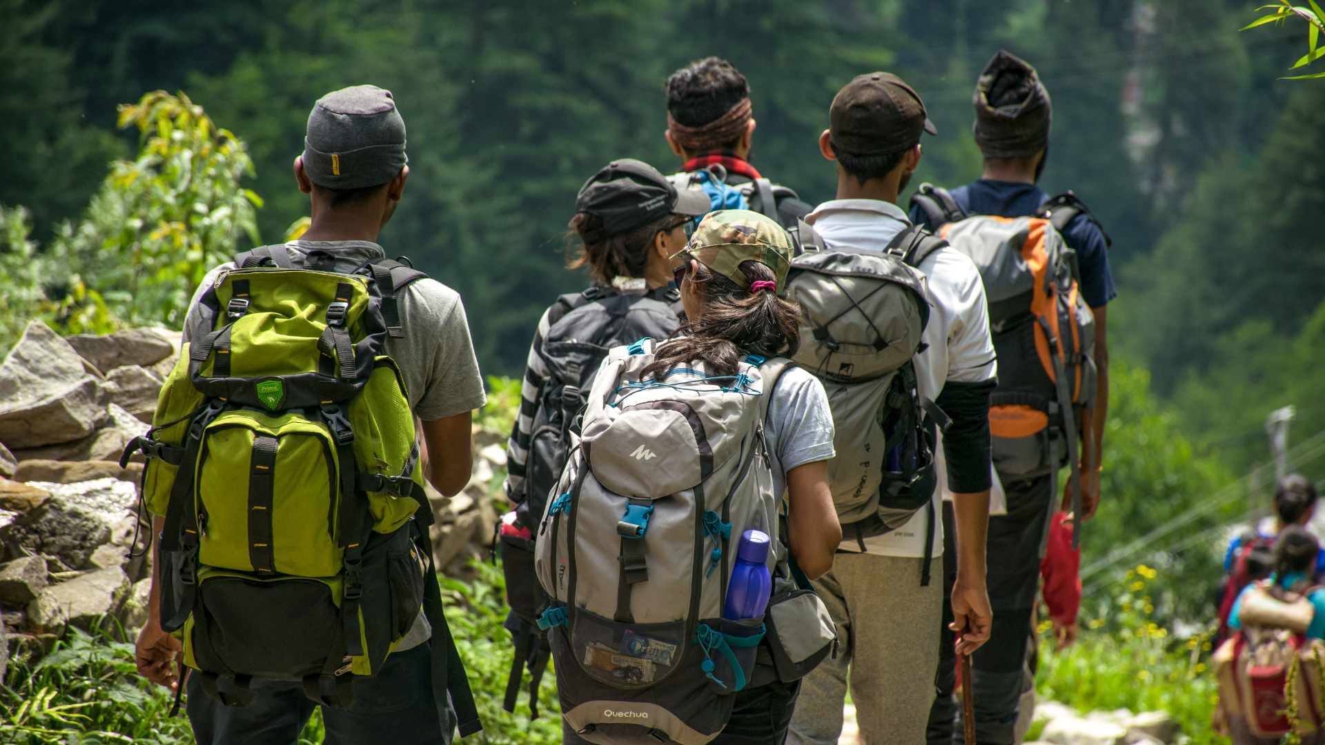 Zdjęcie przedstawia pięć osób idących z plecakami. Osoby widoczne są z tyłu. Niewidoczne są ich twarze.