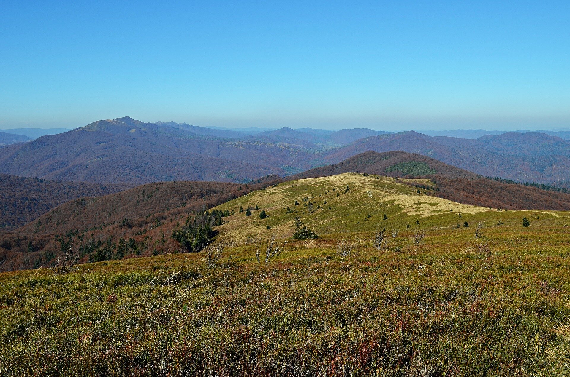 Zdjęcie przedstawiające rozległe zbocze. Na pierwszym planie pokryte roślinnością trawiastą, w niższych partiach drzewami. Na drugim planie pozostałe wzniesienia rozciągające się po horyzont.