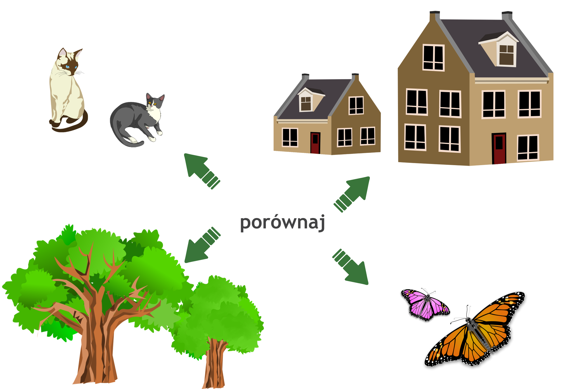 Rysunek dwóch kotów, dwóch motyli, dwóch drzew i dwóch budynków. Obiekty są różnych rozmiarów.