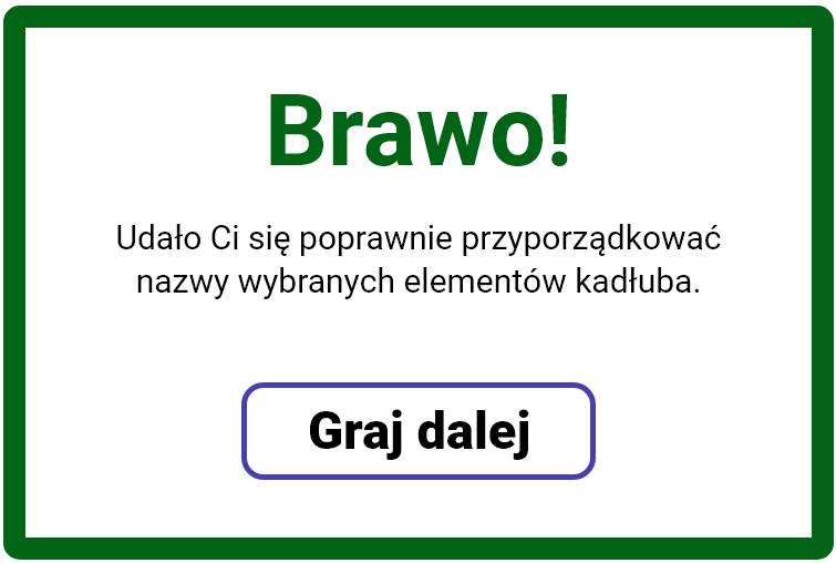 Grafika przedstawia przykładową planszę wyświetlającą się po zakończeniu etapu. Plansza ma zielone obramowanie. Widniejący na niej tekst brzmi: Brawo! Udało ci się poprawnie odgadnąć nazwy wybranych elementów kadłuba. Pod tekstem znajduje się przycisk „graj dalej”. Kliknięcie na niego umożliwia przejście do kolejnego etapu. 
