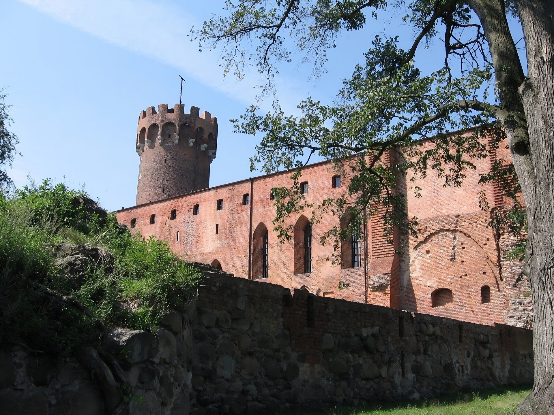 Ilustracja przedstawia widok zamku w Świeciu. Widoczna jest bryła budynku głównego od strony okalającego go muru. Na drugim planie znajduje się wieża.  Z prawej strony duże, rozłożyste drzewo.