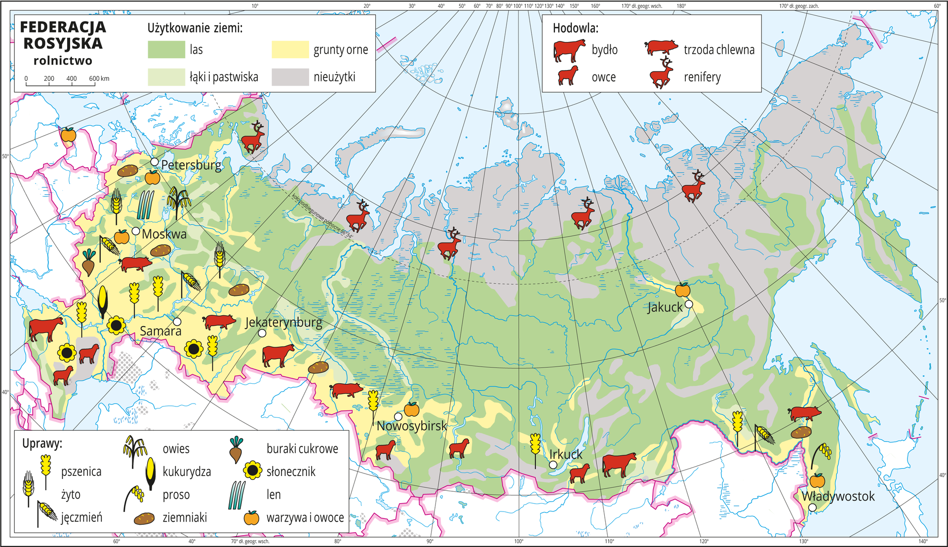 Ilustracja przedstawia mapę gospodarczą Federacji Rosyjskiej. Na mapie rolnictwa kolorem żółtym przedstawiono grunty orne na zachodzie i południu kraju, jasnozielonym – łąki i pastwiska – głównie wzdłuż rzek, zielonym lasy – przewaga na większości obszaru i szarym nieużytki – na północy kraju. Na mapie znajdują się sygnatury obrazujące uprawy roślin (buraki cukrowe, słonecznik, len, warzywa i owoce, owies, kukurydza, proso, ziemniaki, pszenica, żyto, jęczmień) oraz hodowlę zwierząt (bydło, trzoda chlewna, owce, renifery). Poszczególne rośliny i zwierzęta oznaczone są ikonami je przedstawiającymi. Są one skupione na zachodzie i południu Federacji Rosyjskiej. Na północy widoczne są jedynie renifery. Na mapie oznaczono najważniejsze miasta: Petersburg, w okolicach którego uprawia się warzywa i owoce; Moskwę z uprawami warzyw i owoców, lnu i owsa (na obszarze między Moskwą a Petersburgiem) i ziemniaków; Samarę, wokół której uprawia się słoneczniki i pszenicę; Jekaterynburg z sąsiadującymi hodowlami bydła i trzody chlewnej; Nowosybirsk z sąsiadującymi uprawami pszenicy, owoców i warzyw oraz hodowli owiec; Irkuck z uprawą pszenicy i hodowlą owiec; Władywostok i Jakuck z uprawami owoców i warzyw. Mapa zawiera południki i równoleżniki. Dookoła mapy, w białej ramce opisano południki i równoleżniki co dziesięć stopni. Na mapie zamieszczono trzy legendy: w lewym górnym rogu dotyczącą użytkowania ziemi, w prawym górnym rogu – hodowli, a w lewym dolnym rogu – upraw.