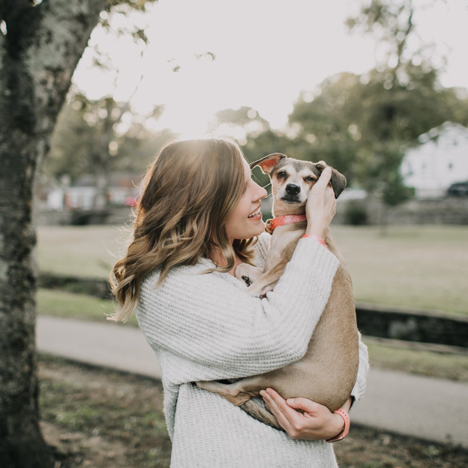 Ilustracja przedstawia kobietę trzymającą małego psa. W tle chodnik, trawa, drzewa.