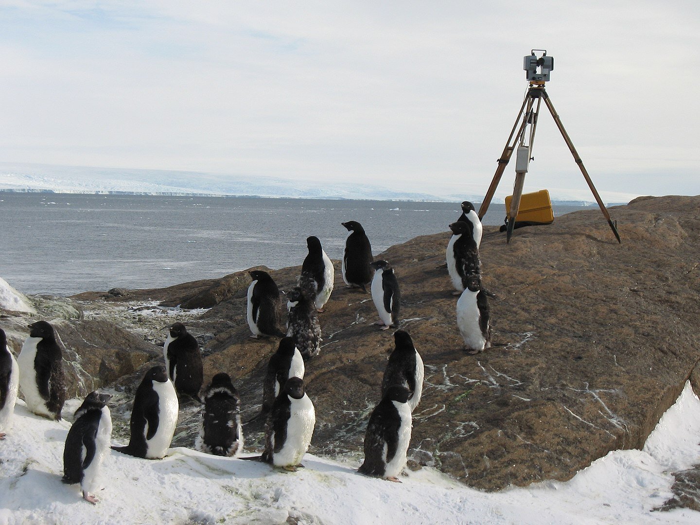 Zdjęcie przedstawia brązową skałę, na której na statywie znajduje się urządzenie do pomiarów geodezyjnych. Nieco poniżej kilkanaście pingwinów, w tle zbiornik wodny.