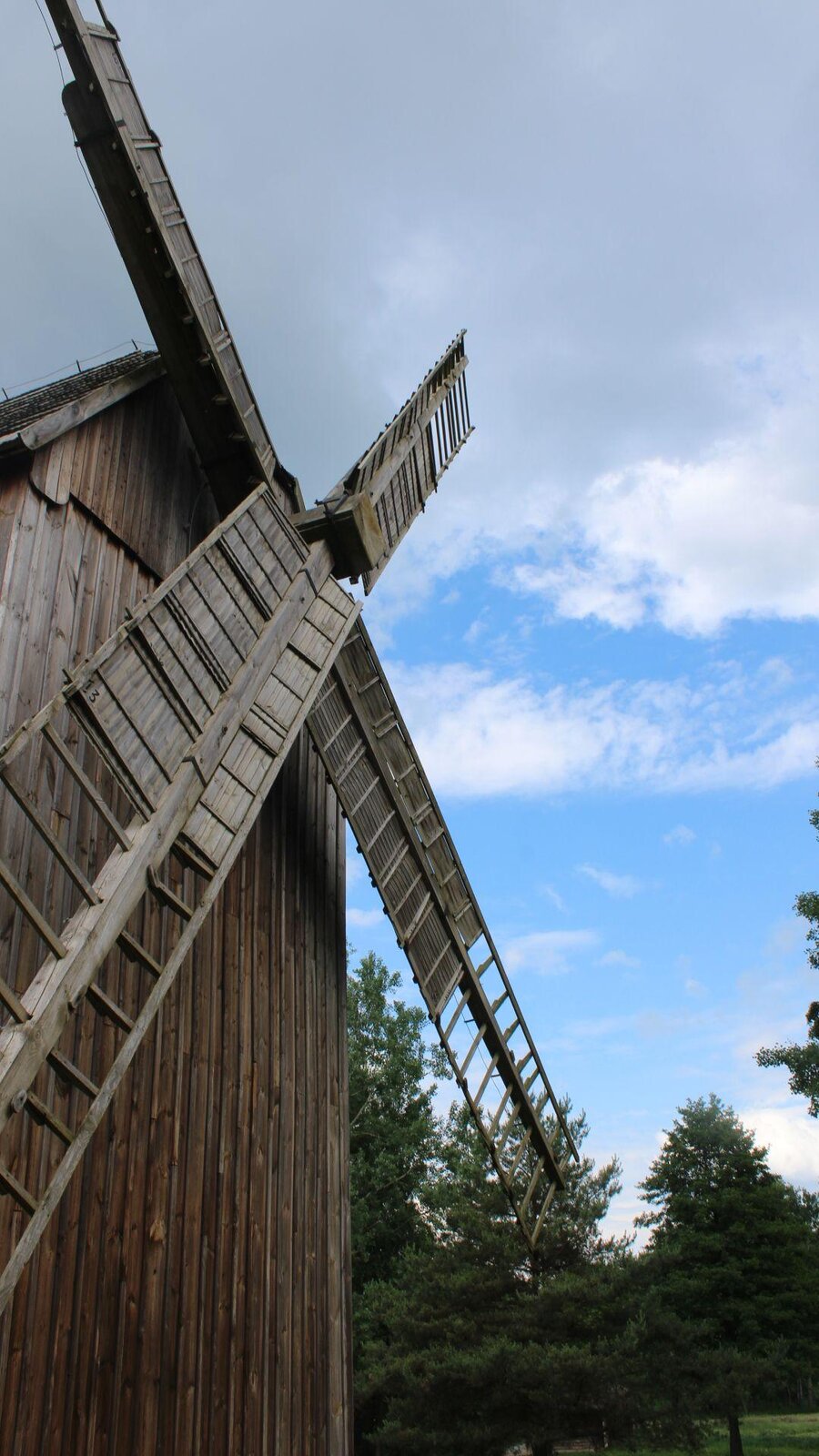 Zdjęcie przedstawia fragment drewnianego wiatraka. Zdjęcie zostało wykonane od dołu, a budynek znajduje się po lewej stronie zdjęcia. Ma on cztery skrzydła. Z prawej strony zdjęcia widoczne są zielone choinki. Niebo jest błękitne, częściowo przysłonięte przez białe chmury. Zdjęcie zostało wykonane w świetle dziennym.