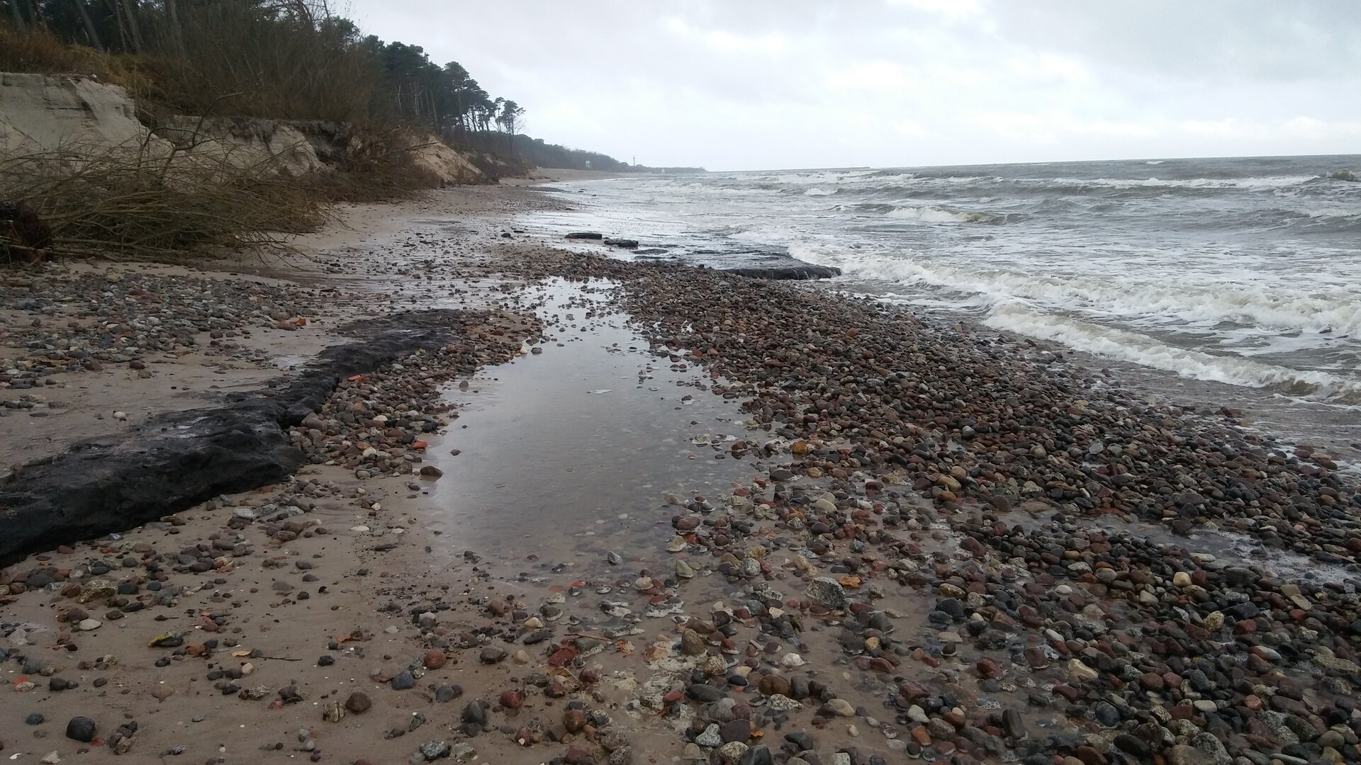 Zdjęcie przedstawia kamienistą plażę. Po prawej stronie fotografii znajduje się morze, po lewej wyższy wał ziemi na którym rośnie las. Pomiędzy nimi znajduje się plaża, która jest pokryta piaskiem przykrytym przez drobne kamienie. 