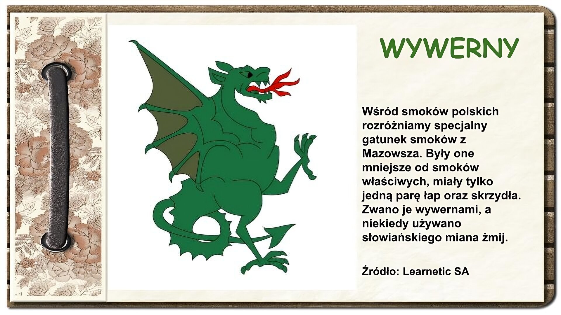Strona z notatnika zdobiona z lewej strony brązowym paskiem przewleczonym przez dwie dziurki oraz ozdobnym paskiem w brązowe kwiaty. Na środku ekranu rysunek zielonego smoka z długim czerwonym podzielonym językiem z trzema końcówkami. Ma skrzydła, tylko tylne łapy i długi ogon zakończony kształtem przypominającym grot strzałki. Po prawej stronie ekranu tytuł: Wywerny. Niżej tekst: Wśród smoków polskich rozróżniamy specjalny gatunek smoków z Mazowsza. Były one mniejsze od smoków właściwych, miały tylko jedną parę łap oraz skrzydła. Zwano je wywernami, a niekiedy używano słowiańskiego miana żmij. Źródło: Learnetic SA.