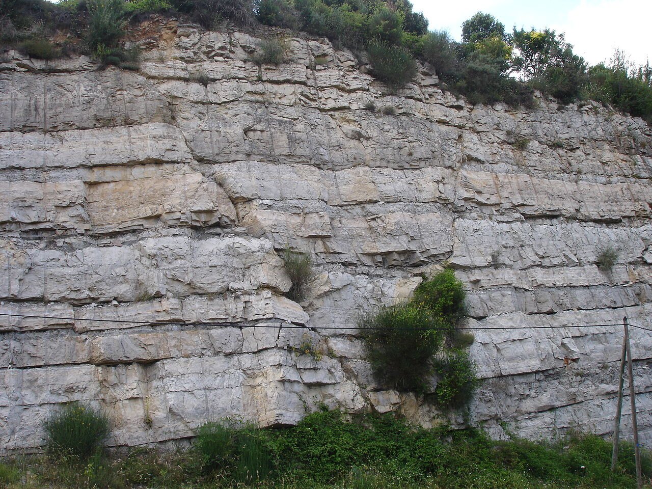 Na zdjęciu widoczna jest ściana skalna. Wyodrębnione na niej są zręby i rowy tektoniczne. Ściana jest pionowa i składa się z jasnych warstw skalnych. W jednym miejscu widać ukośne pęknięcie ściany, które dzieli ją na dwie części. Powyżej i poniżej ściany skalnej znajduje się roślinność.