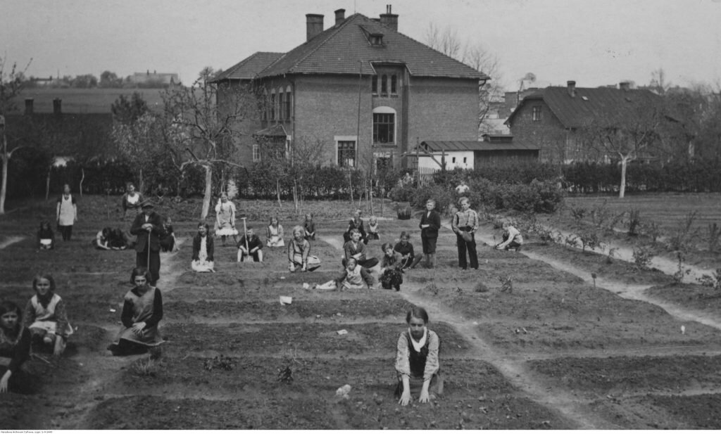 Fotografia przedstawia dzieci jednej ze szkół pracujących w przyszkolnym ogródku. Kopią w ziemi i rozmawiają ze sobą. Nie mają jednolitych strojów. Z tyłu widać budynek szkoły oraz rosnące obok drzewa.