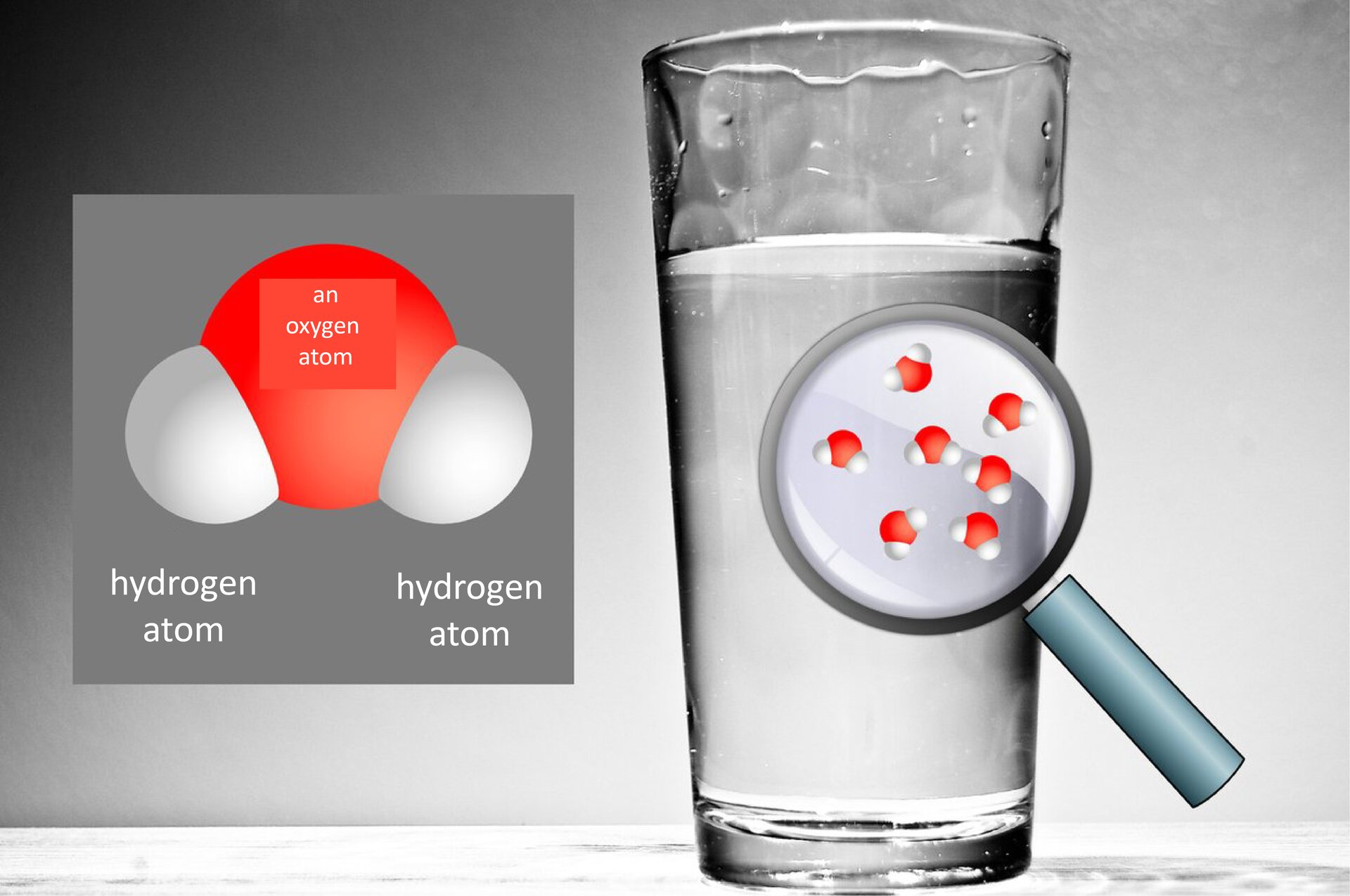 Ilustracja przedstawia szklankę napełnioną wodą. z prawej strony do szklanki przyłożona jest lupa - za którą, widać cząsteczki wody (identyczne, jak na schemacie po lewej  stronie). Obok szklanki jest podpisany model cząsteczki wody. Okrągły czerwony atom tlenu i przyklejone do niego na dole, po jednej i drugiej stronie dwa białe atomy wodoru. Na ilustracji są napisy: an oxygen atom, hydrogen atom