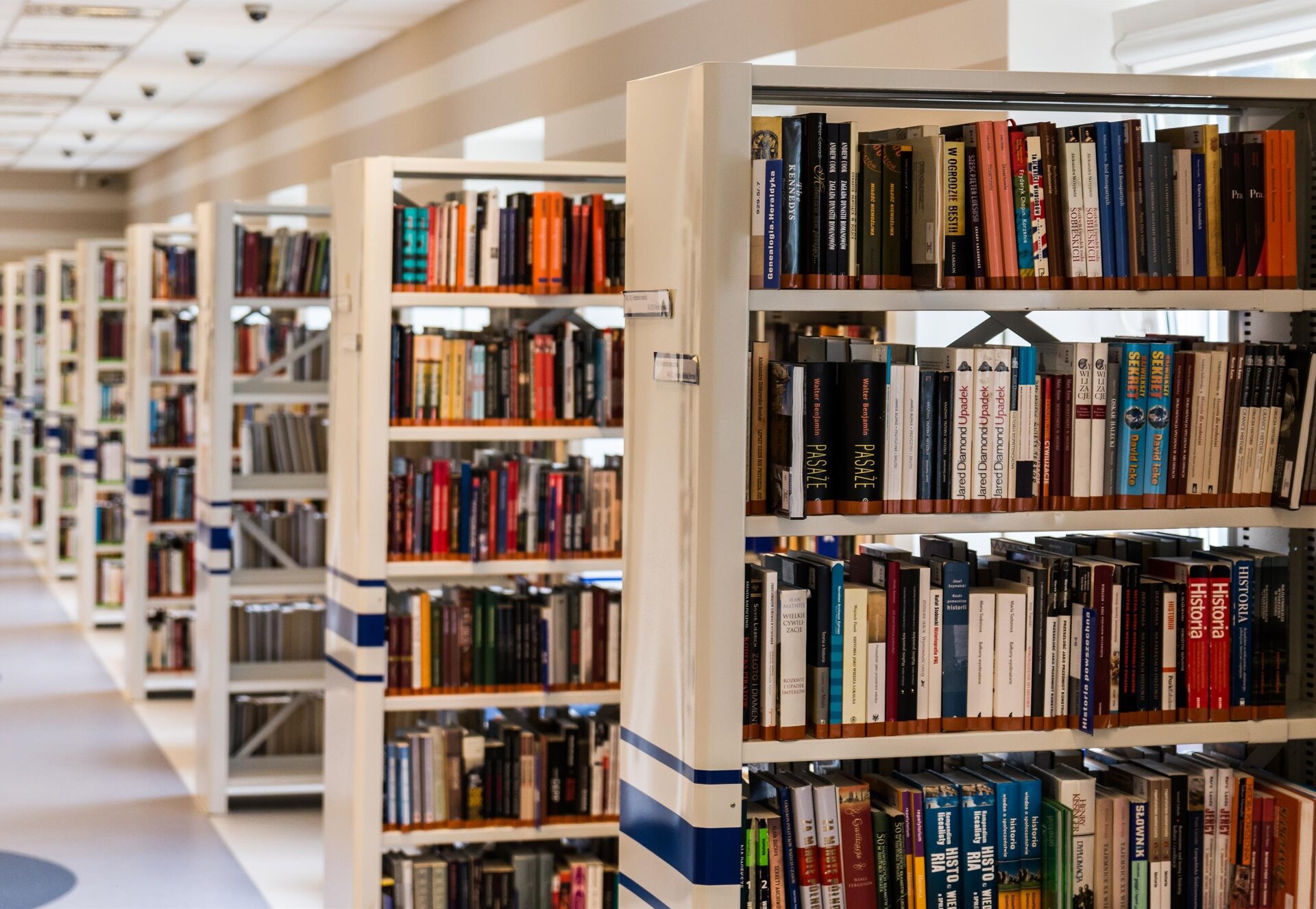 Ilustracja przedstawia regały książek w bibliotece.