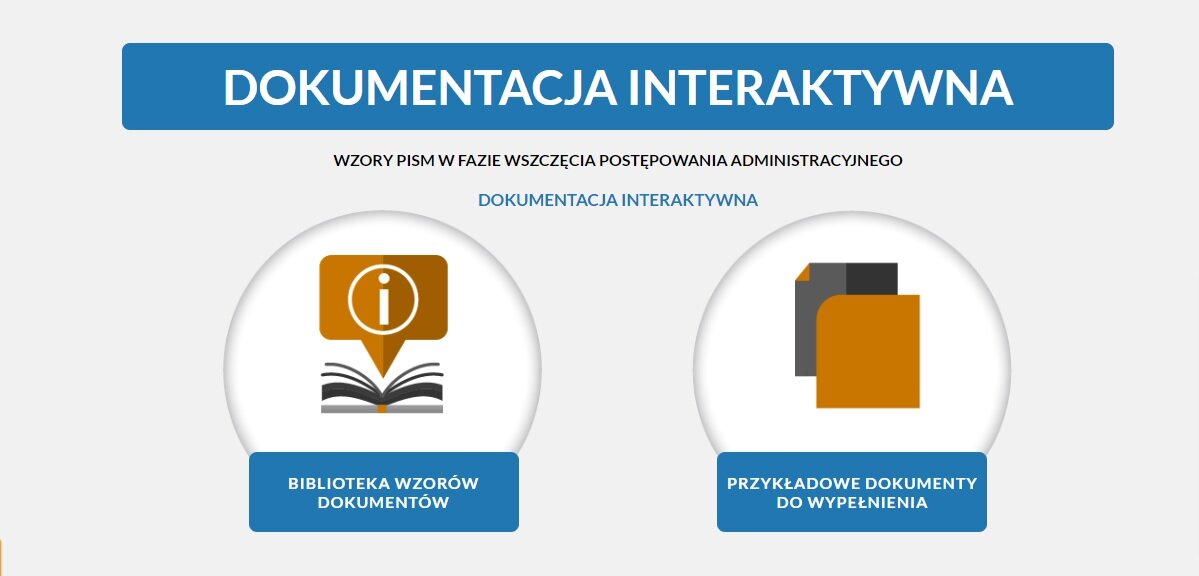 Grafika przedstawia wygląd strony tytułowej dokumentacji interaktywnej. 